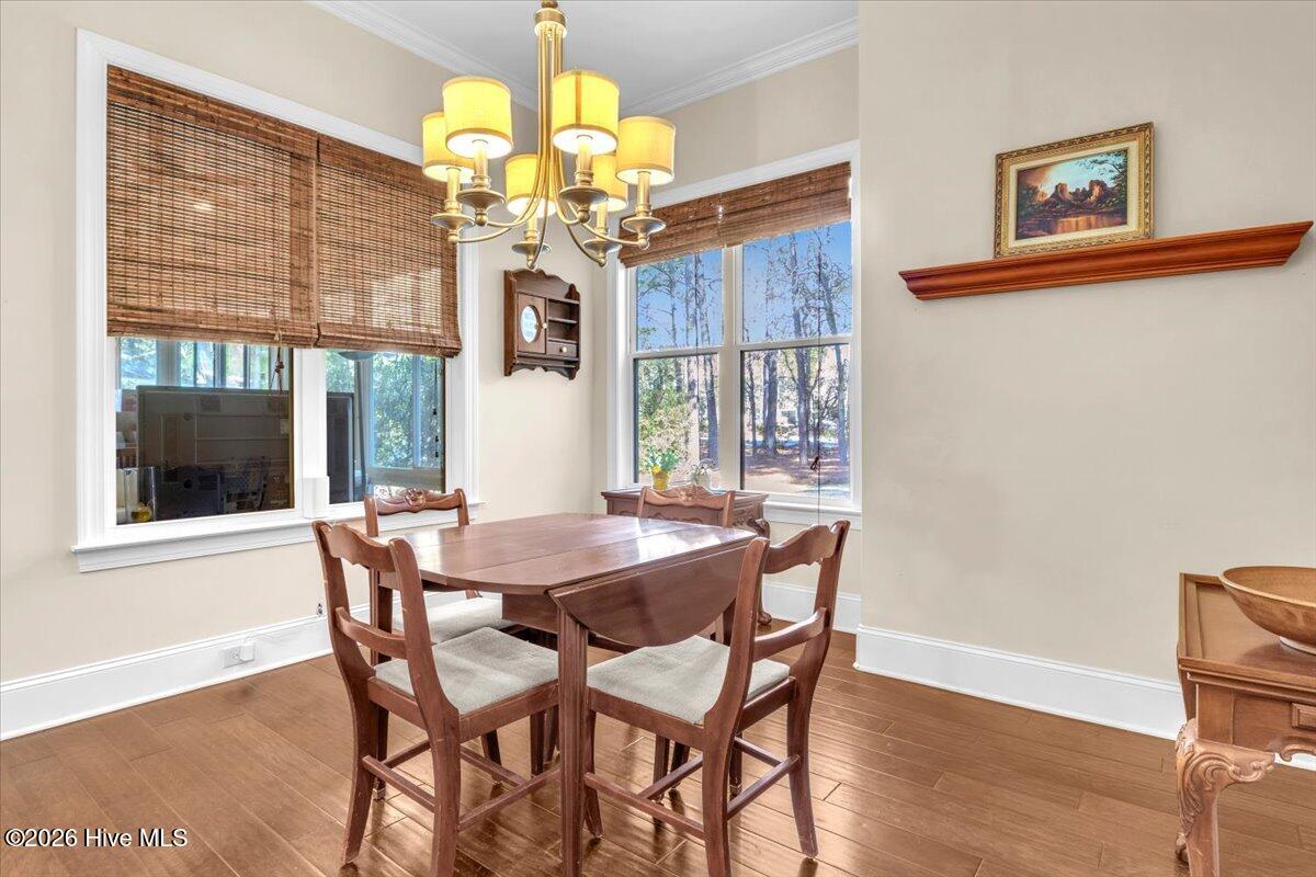 100556407 | Photo 27