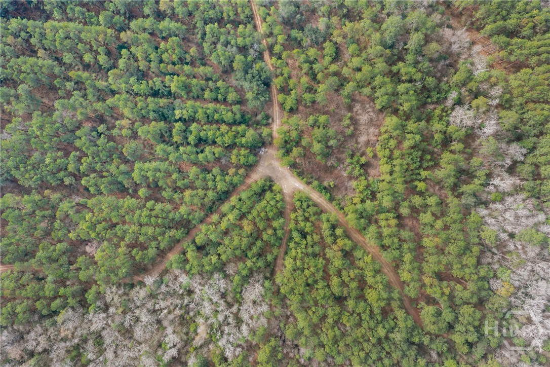 1000 Old River Road S, Brooklet, GA, 30415