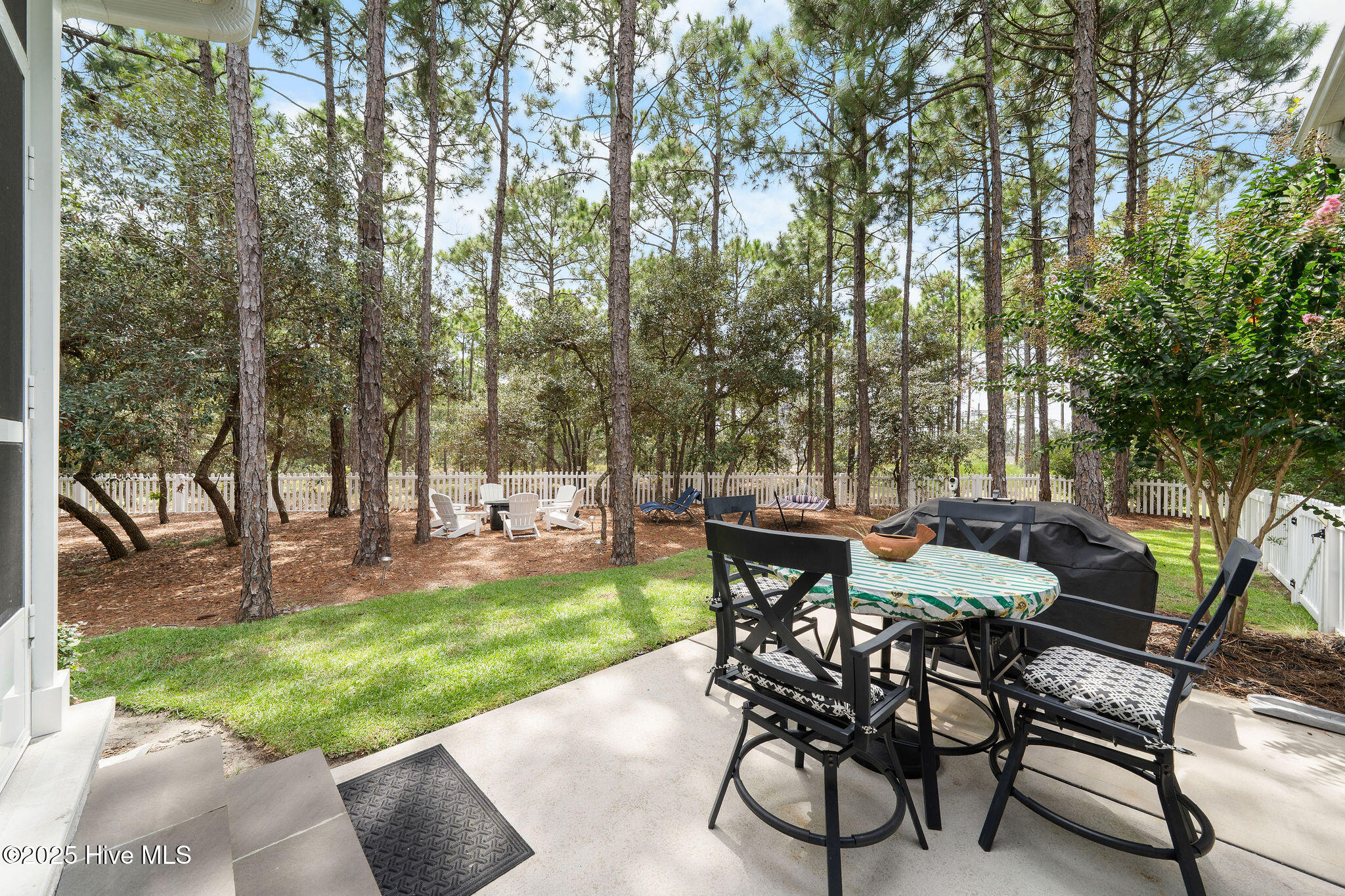 100529341 | Photo 34