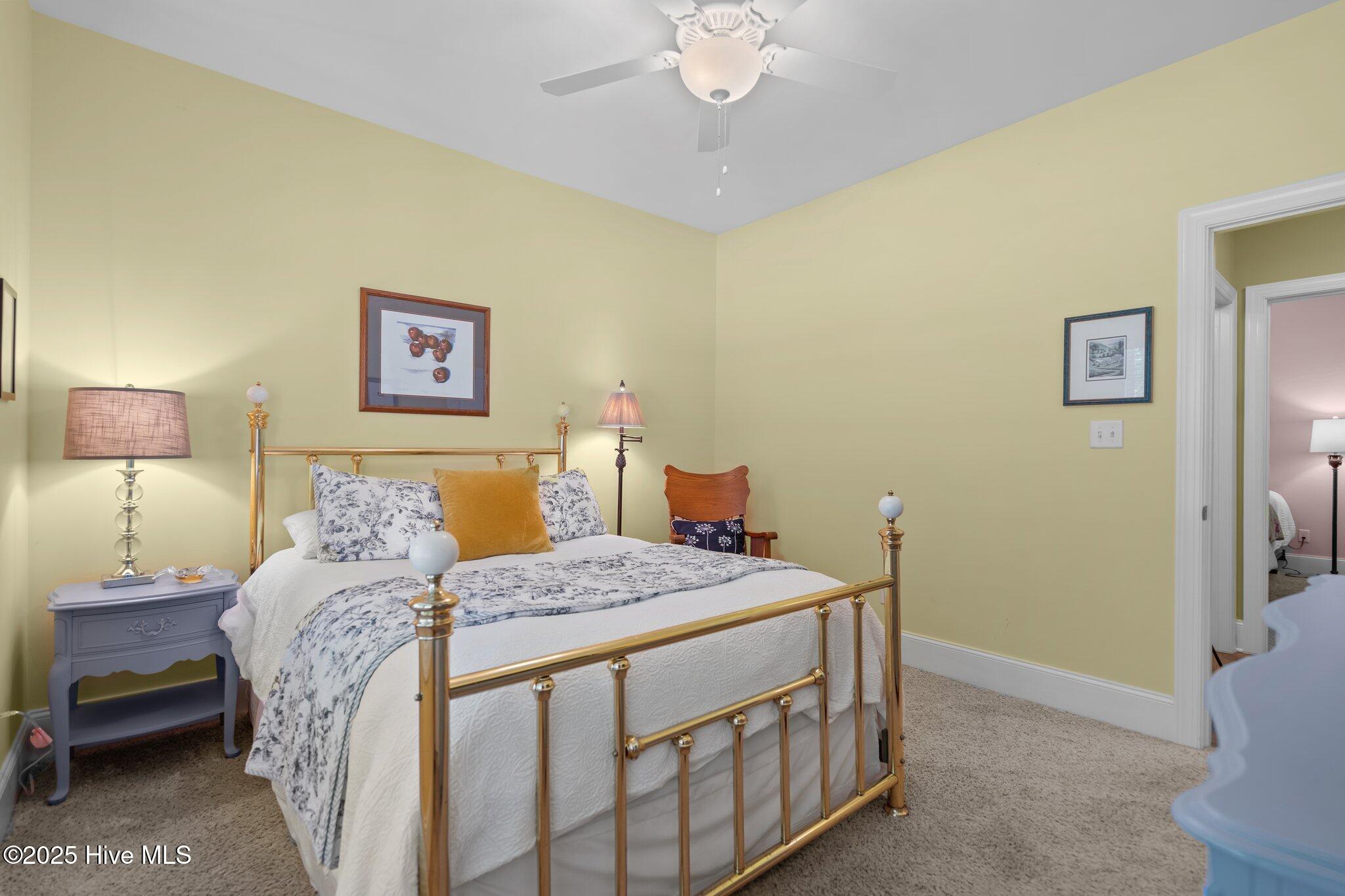 100518036 | Photo 24