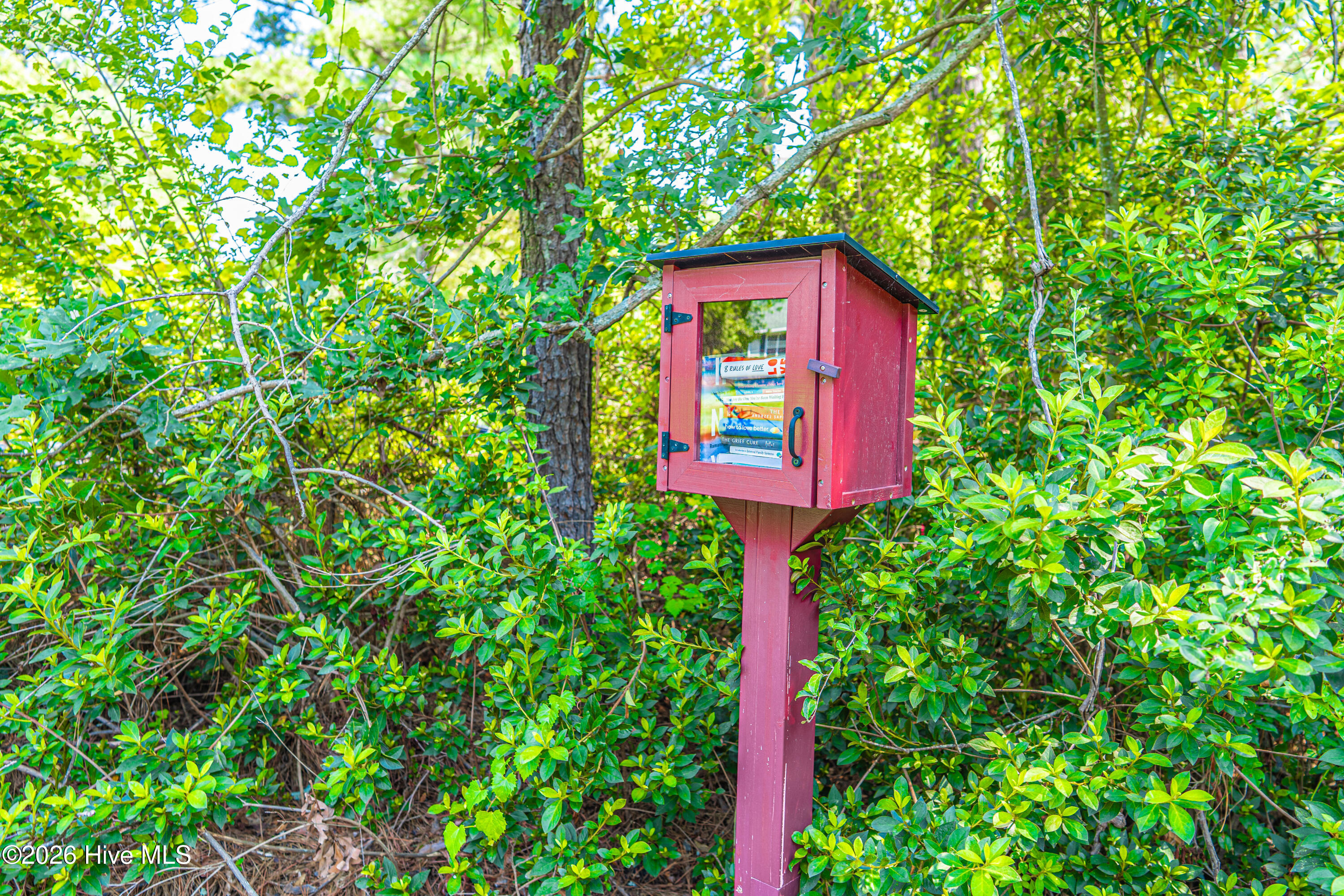 Little free library nearby