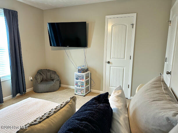 100560235 | Photo 31