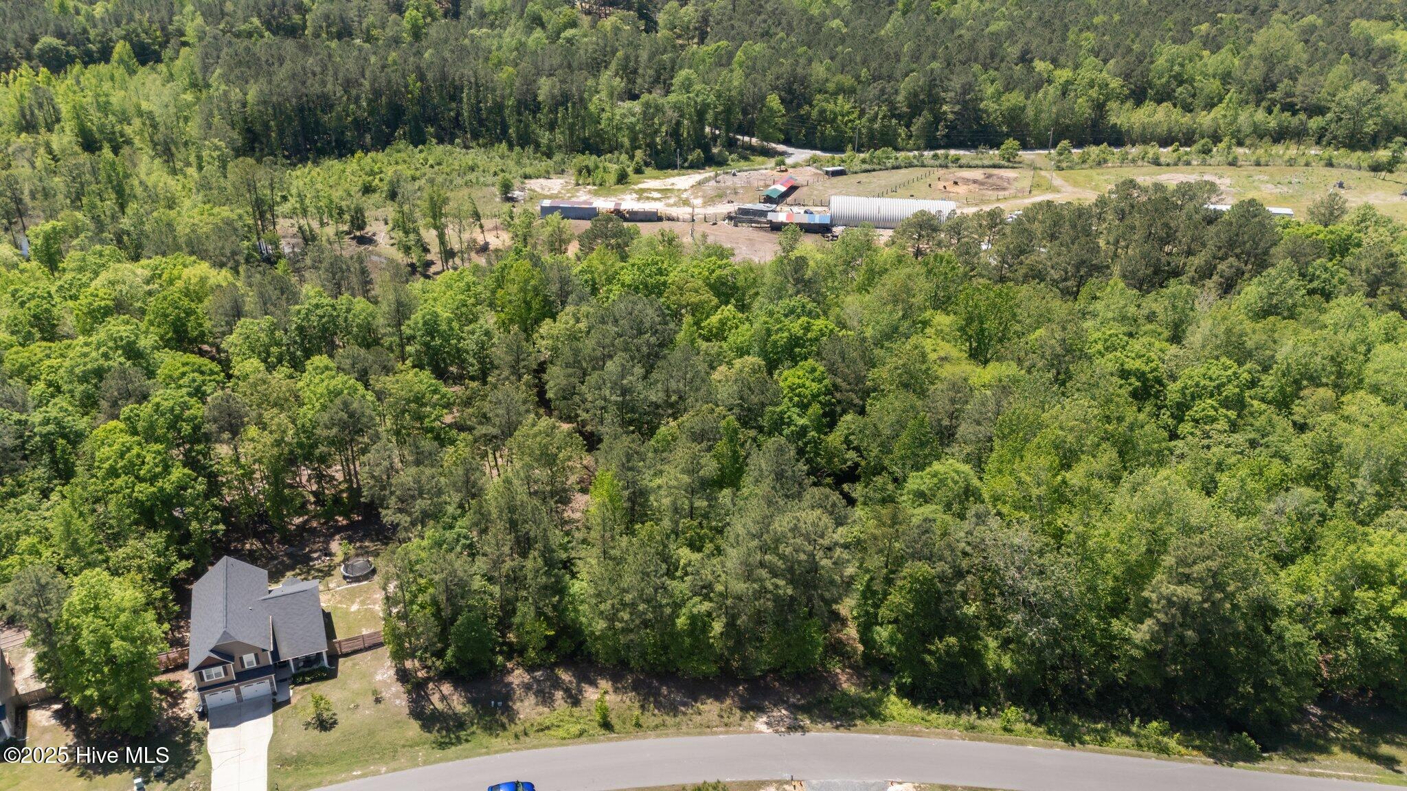 3rd image of 219 Stella Wy, Cameron, NC 28326 | MLS# 100599208