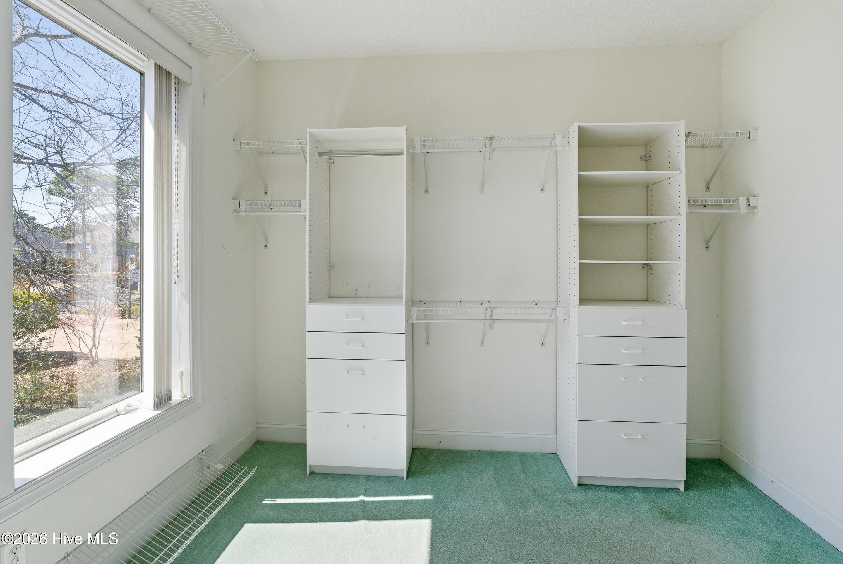 100564038 | Photo 34