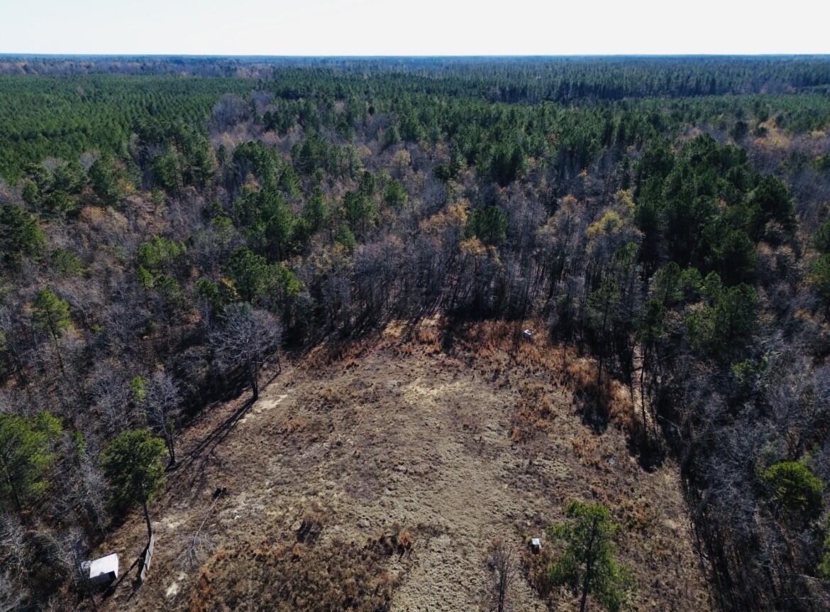 Homes for sale in Keysville, GA | 6975 Hwy 80, Keysville, GA 30816 | MLS# 550341