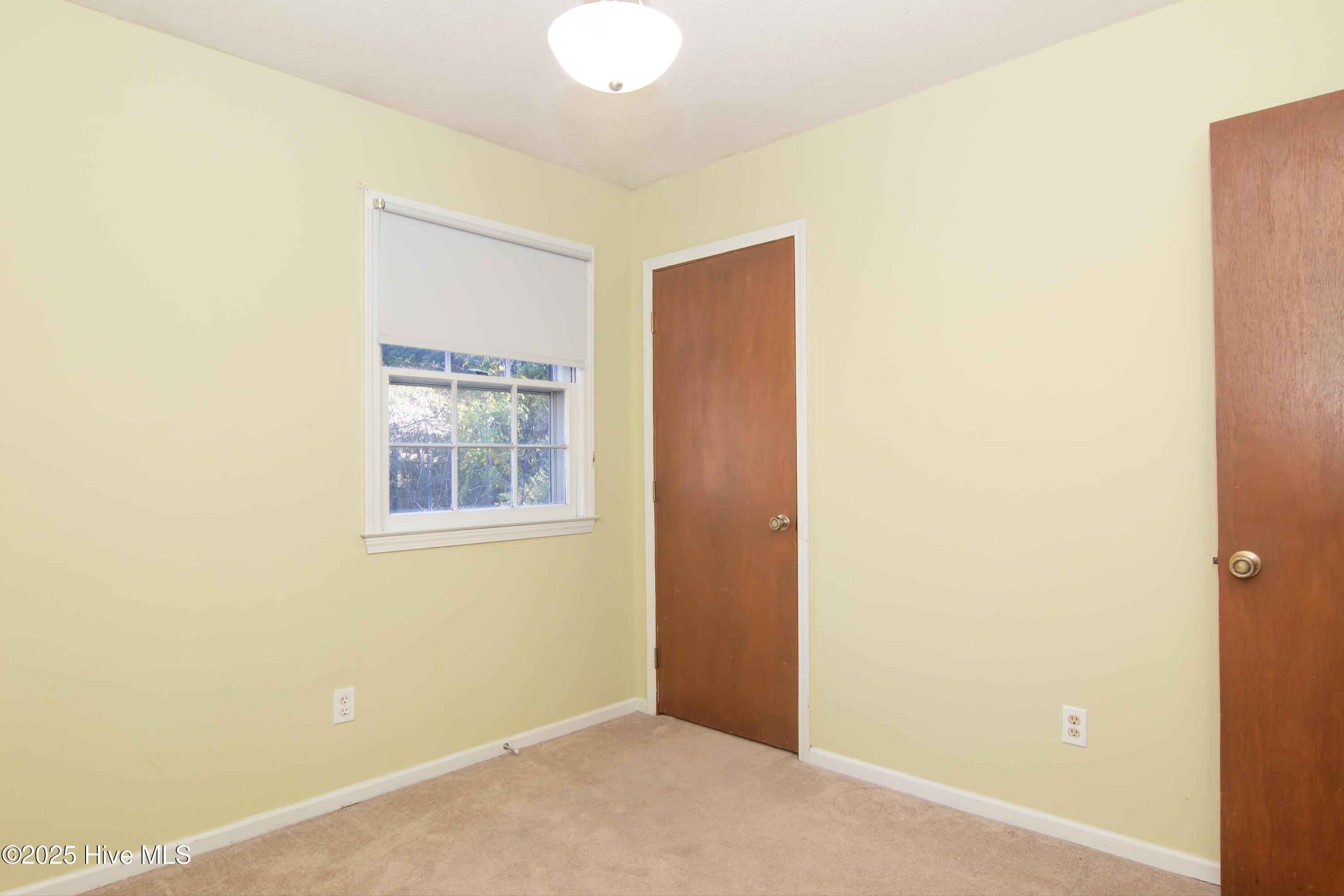 100545046 | Photo 35