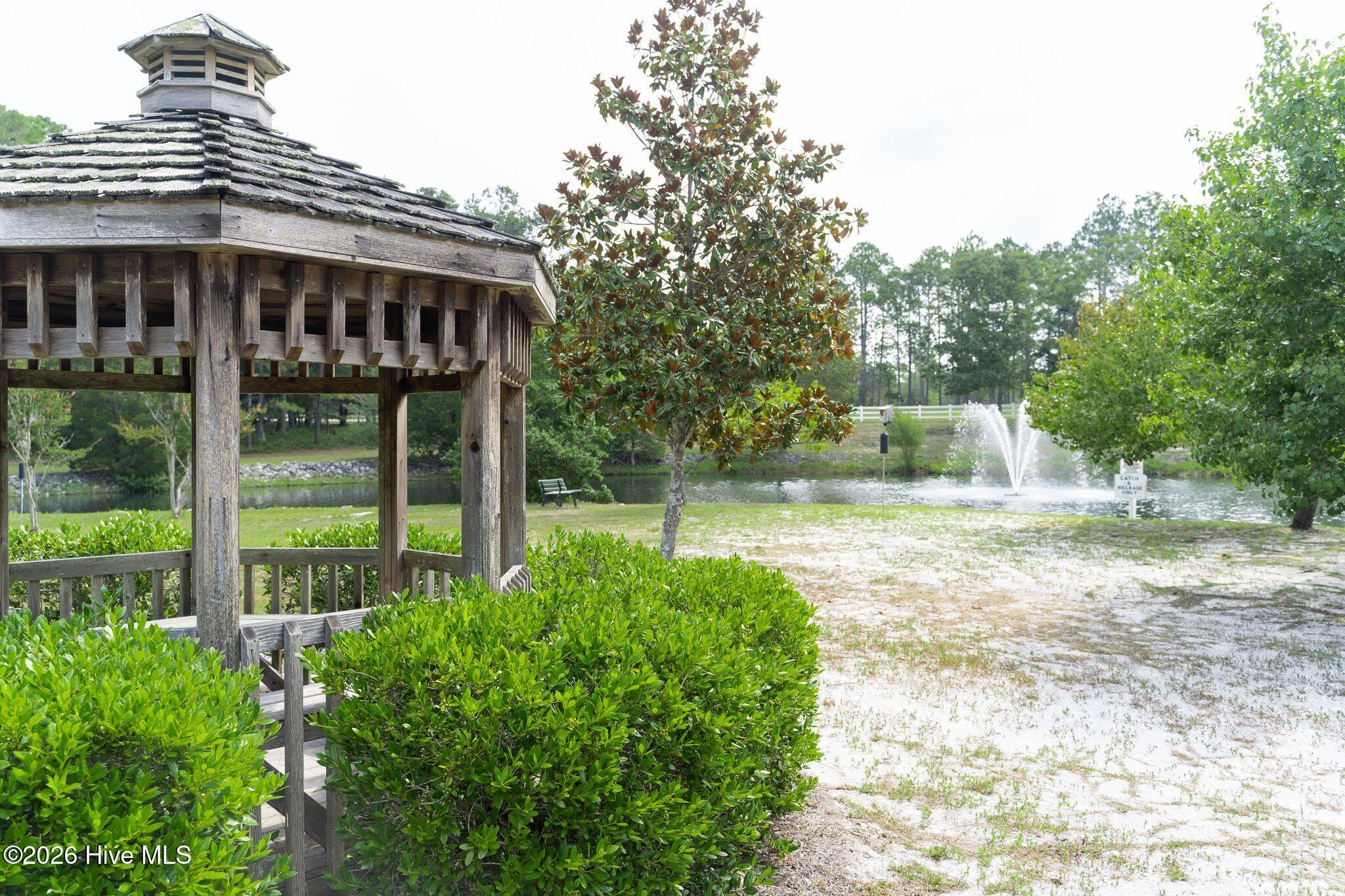 100563683 | Photo 50