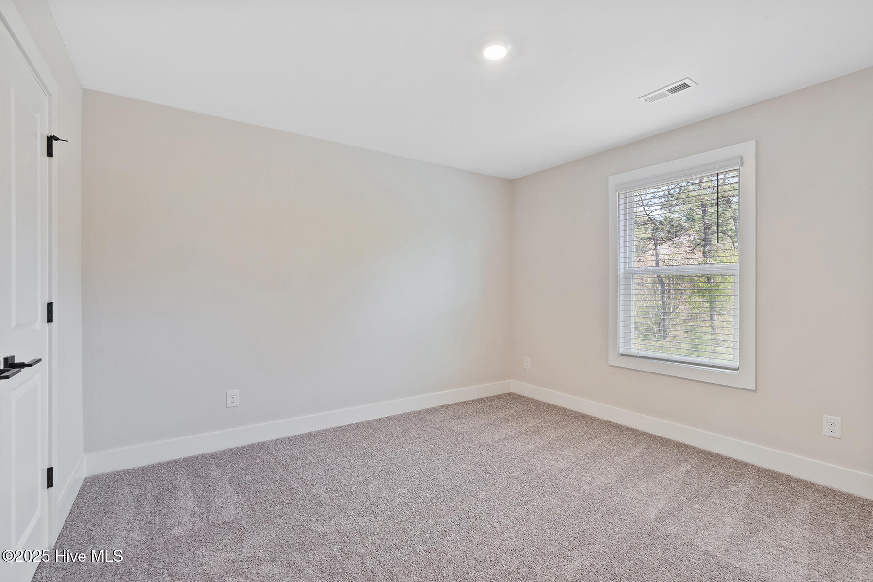 113 Umbrella Palm Drive, Hampstead, NC, 28443