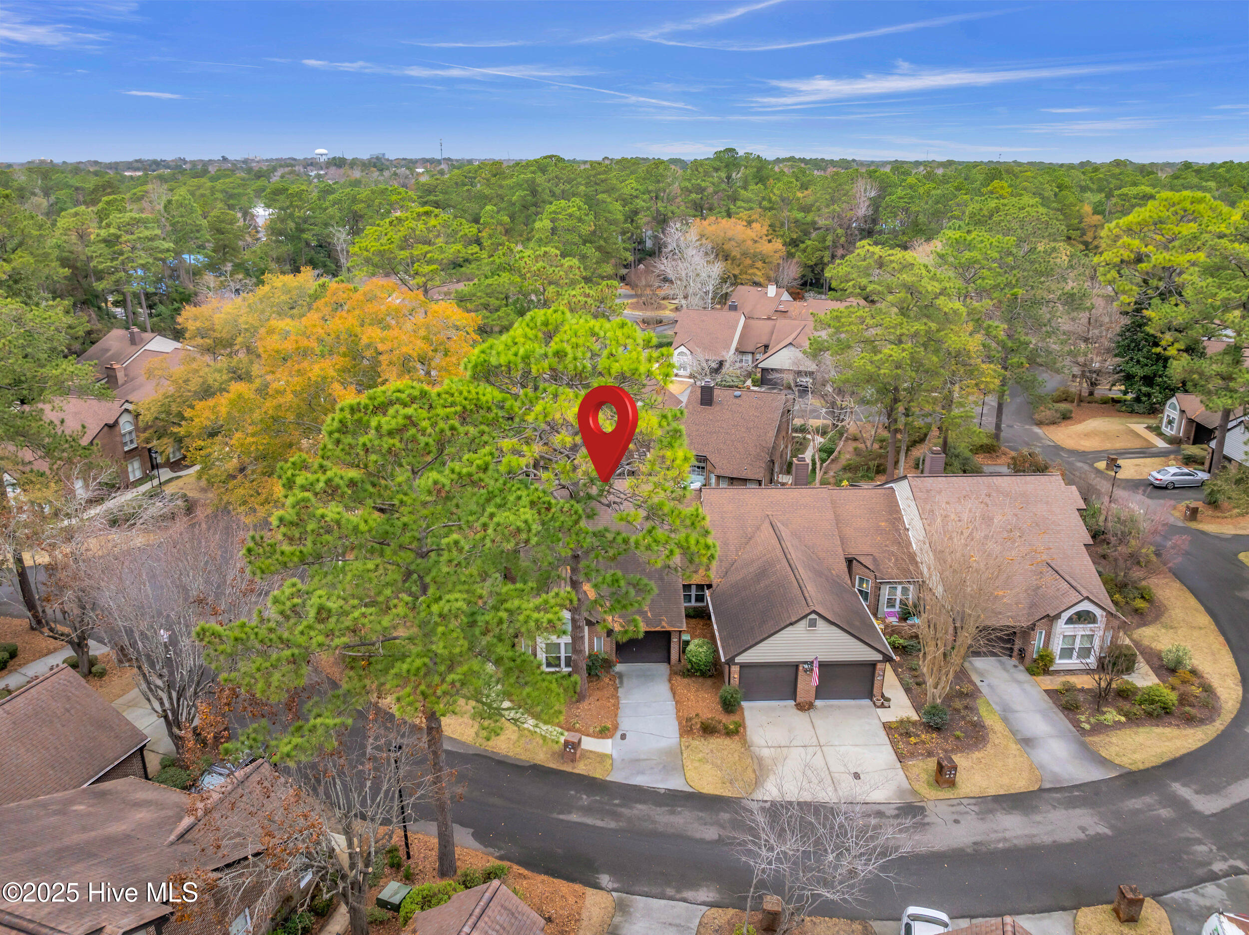 100546535 | Photo 42