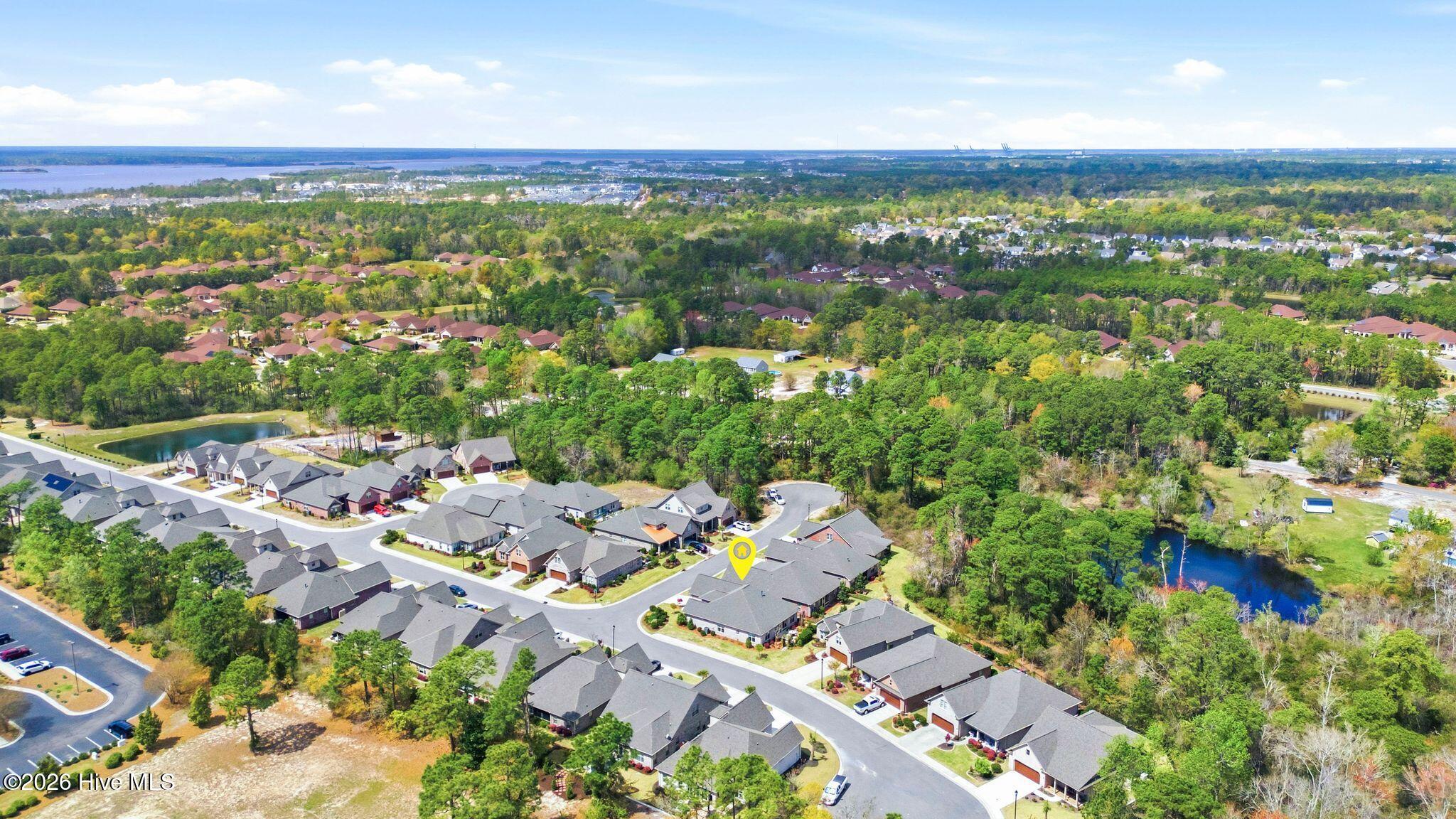 100564564 | Photo 59