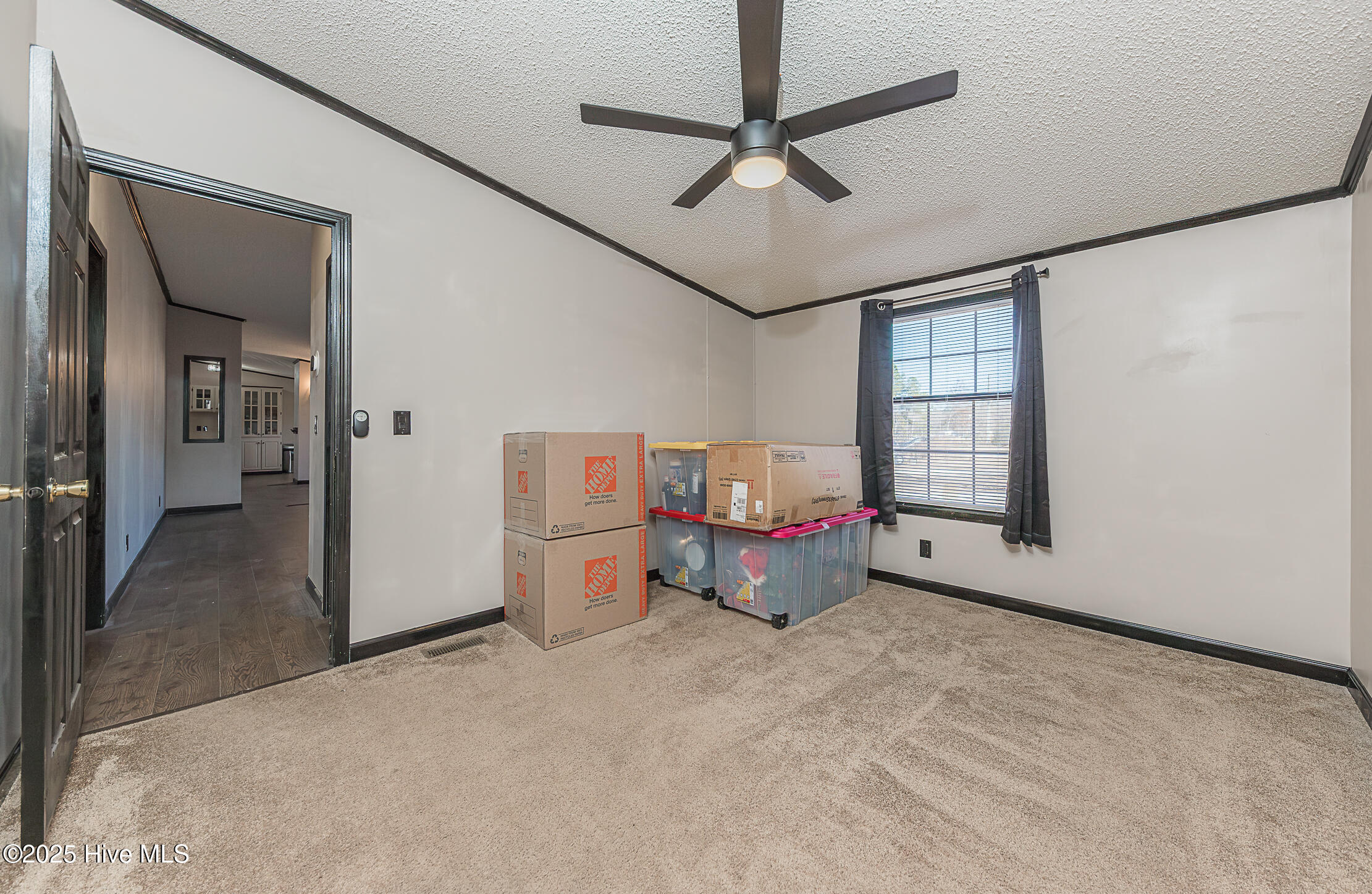 100546784 | Photo 41