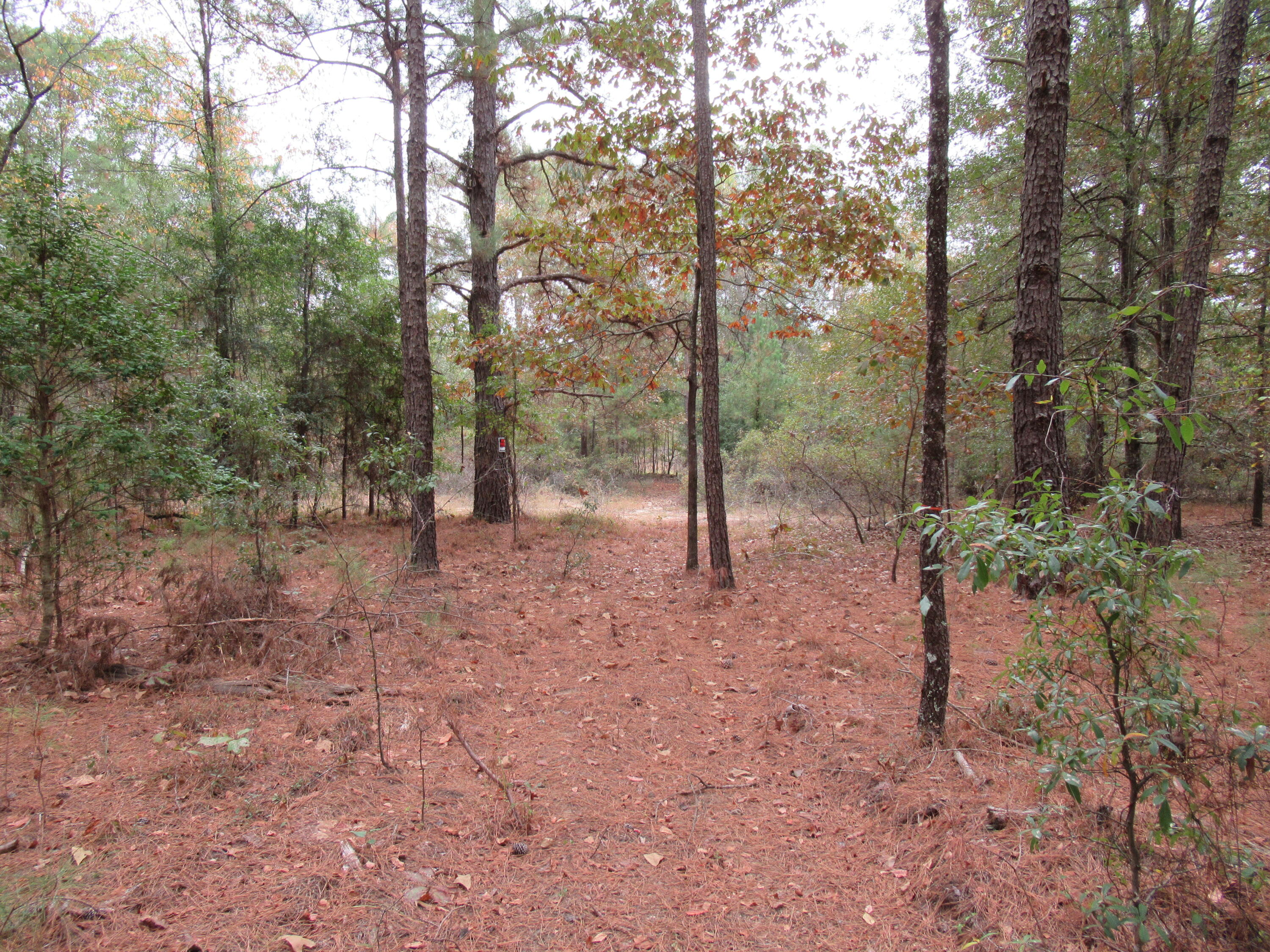 0 TWIN PINES RD., Keysville, GA, 30816