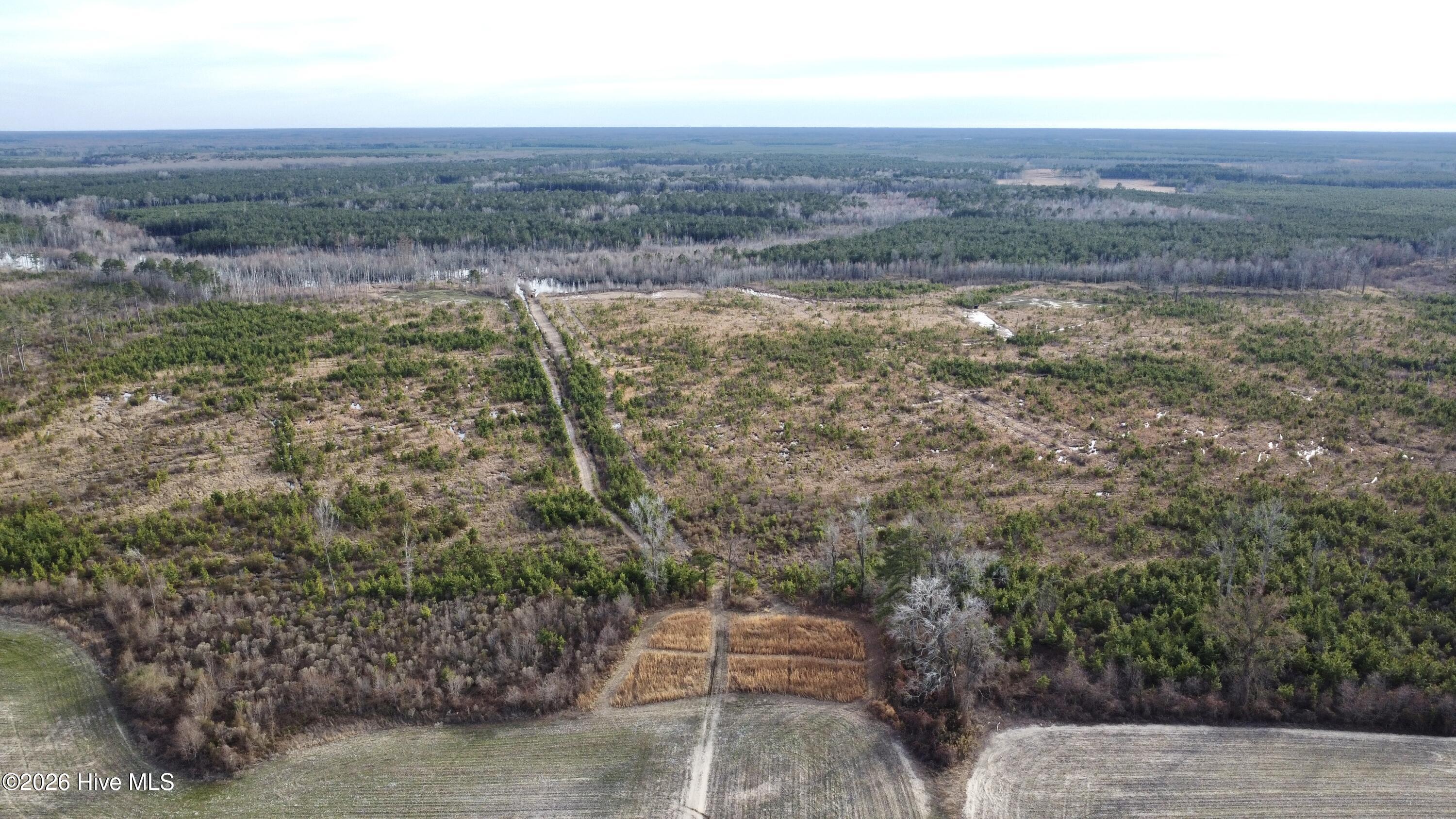 Homes for sale in Windsor, NC | 943 Off 943 Governors Rd Nc 308 Rd, Windsor, NC 27983 | MLS# 100555210