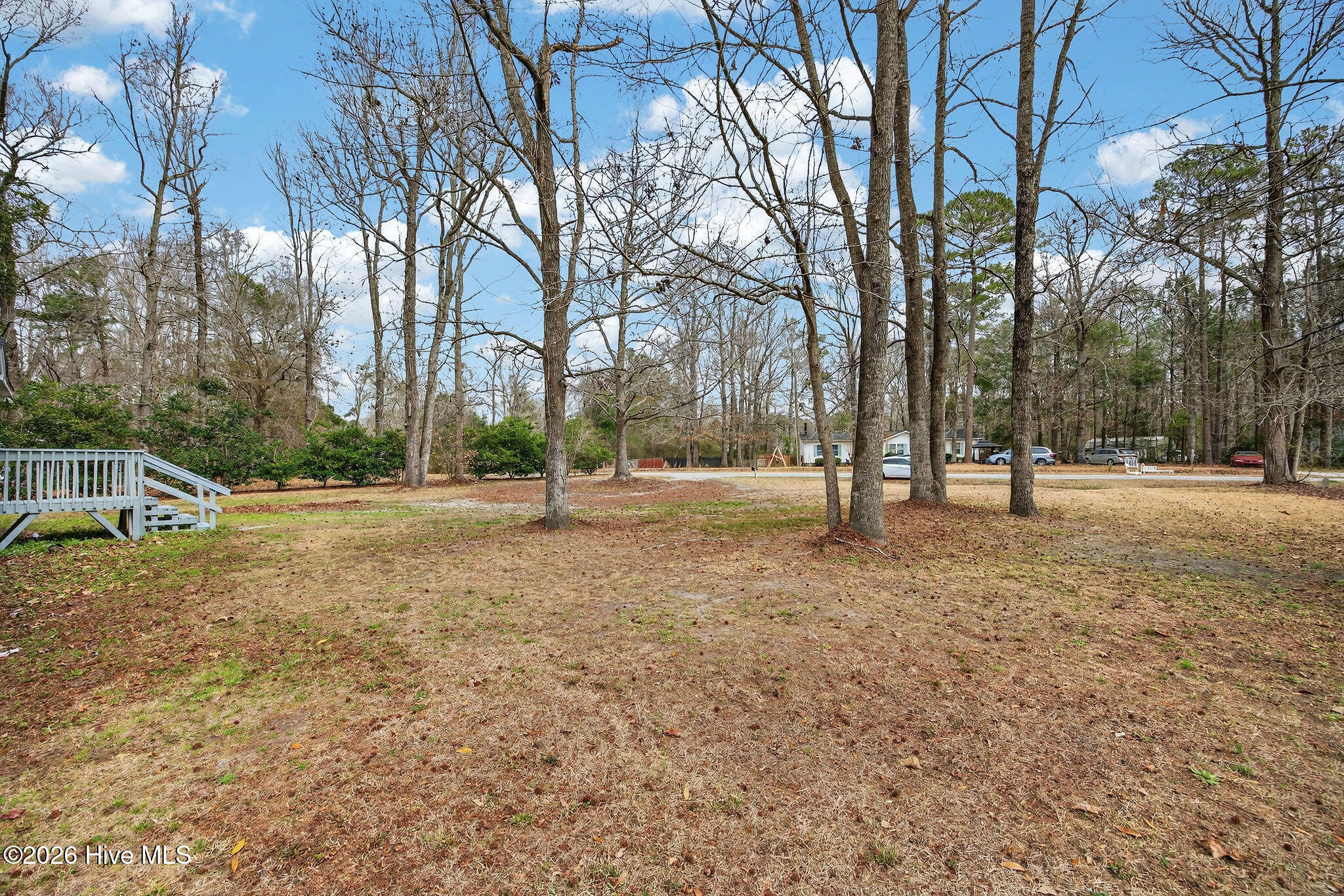 100556800 | Photo 30