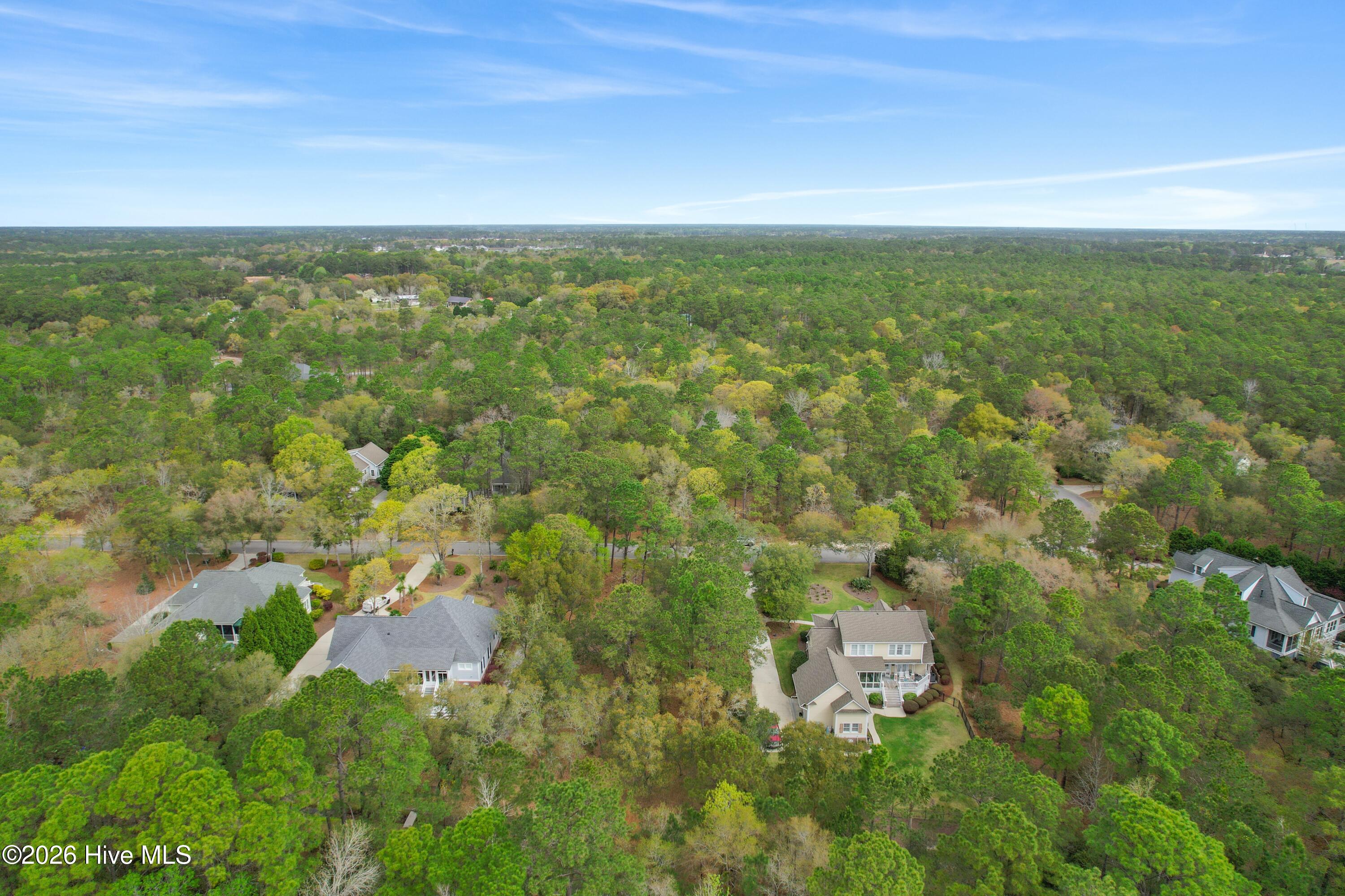 100565243 | Photo 14