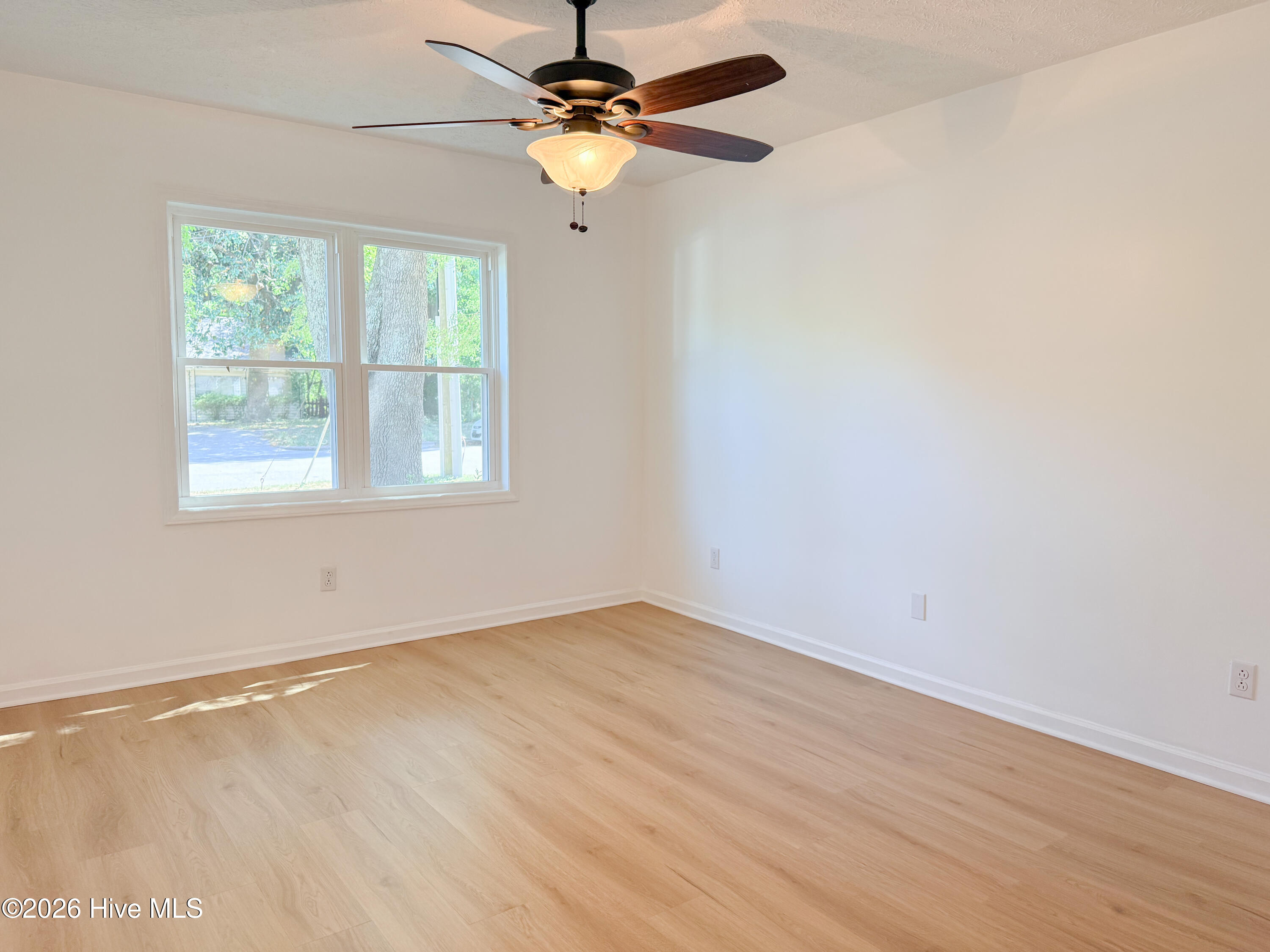 100568255 | Photo 33