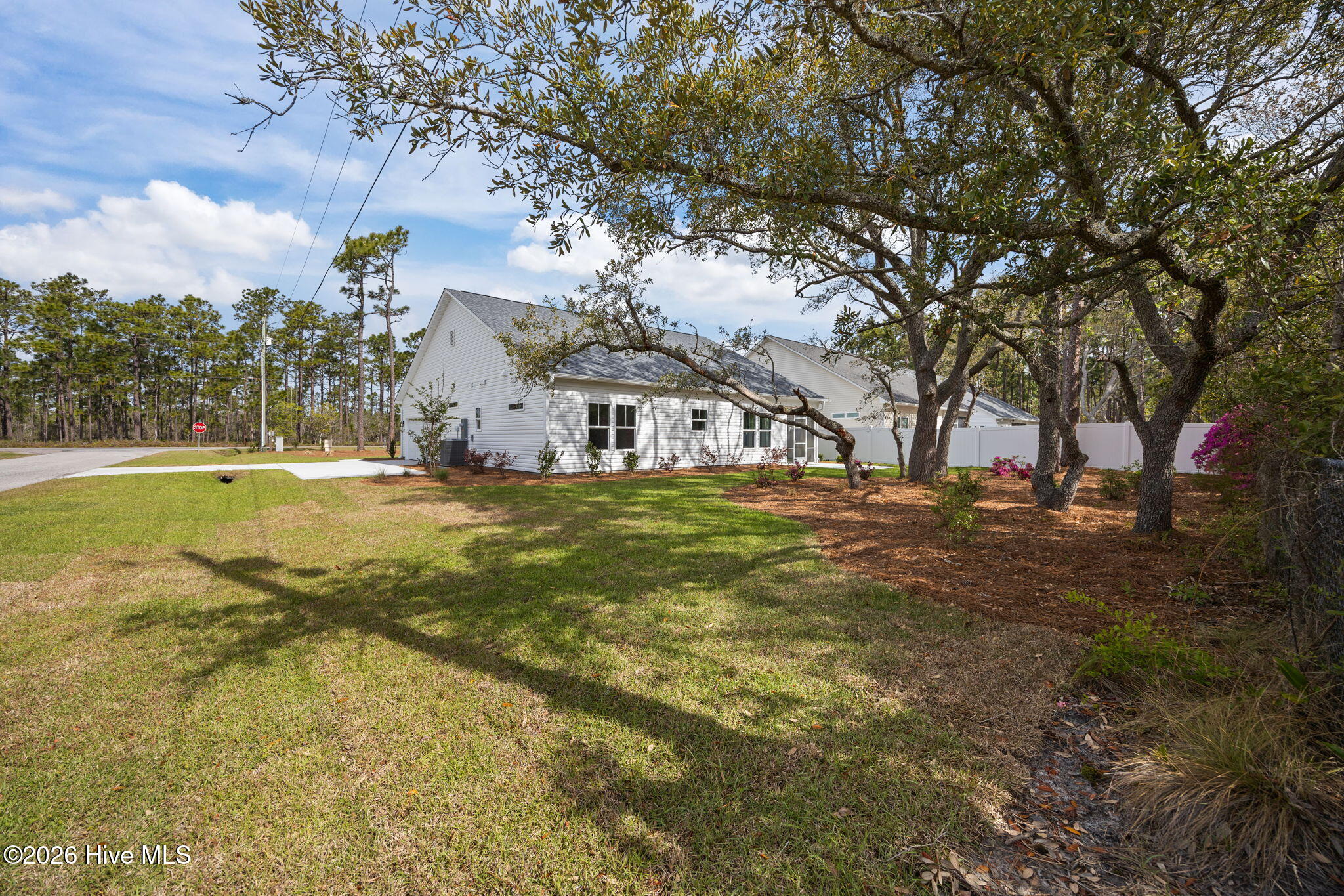 100553165 | Photo 41