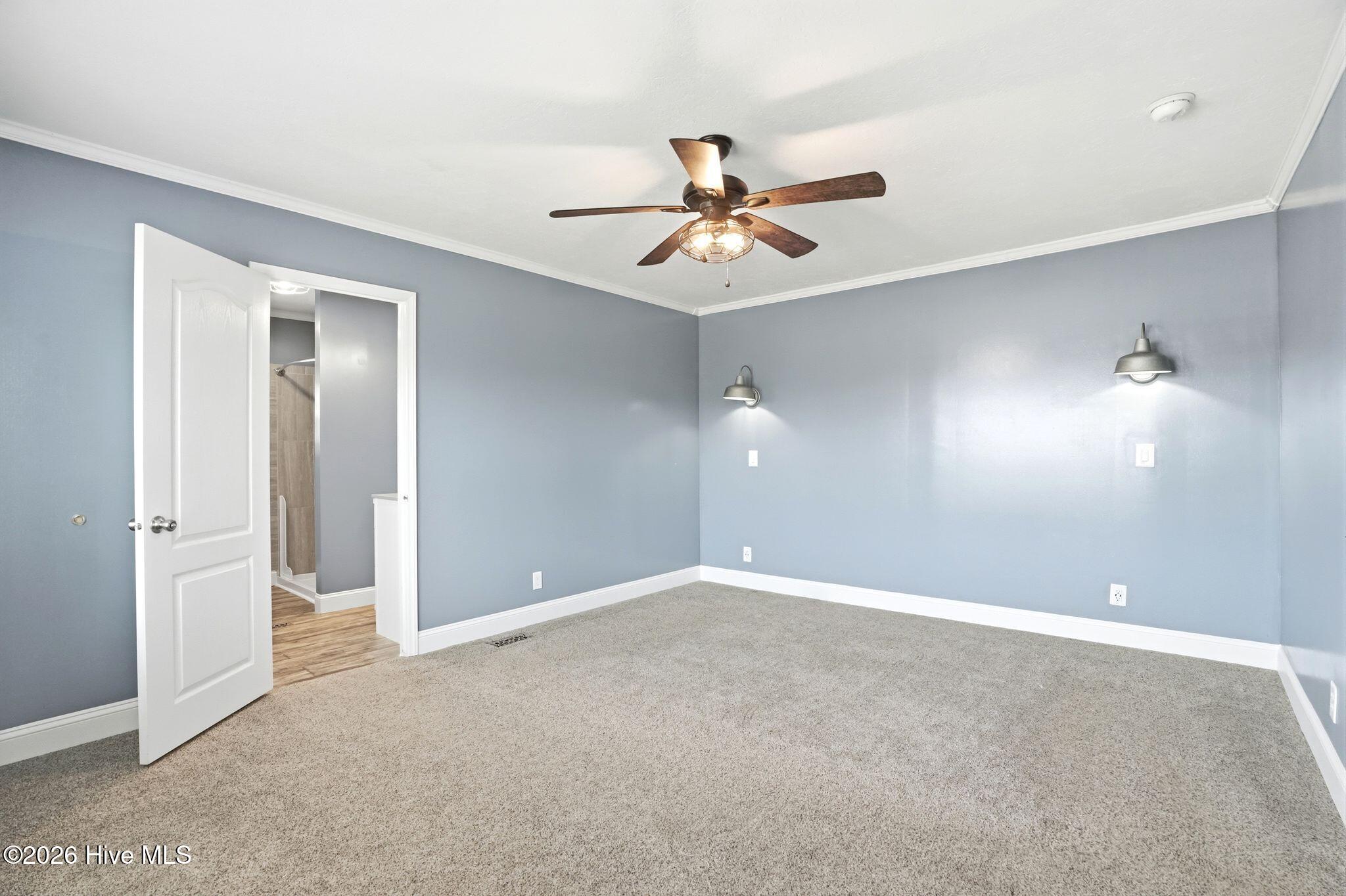 100570161 | Photo 13