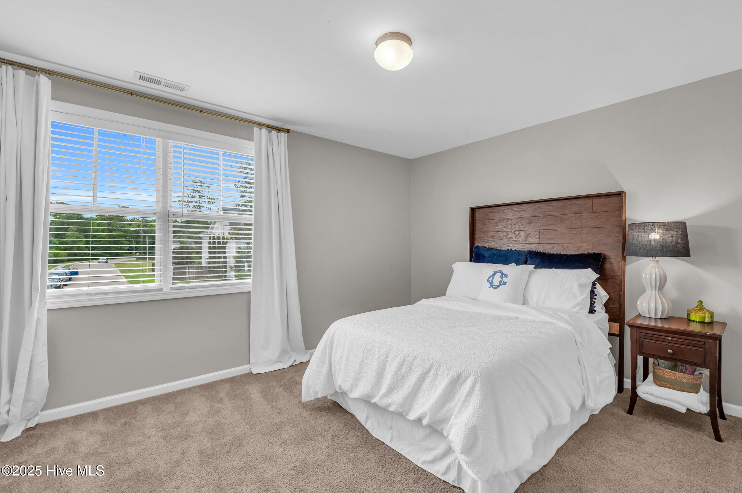 100516387 | Photo 18