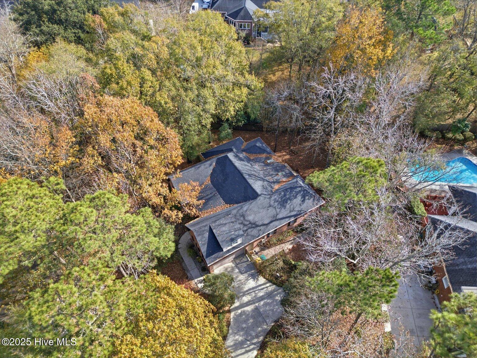 100543619 | Photo 33