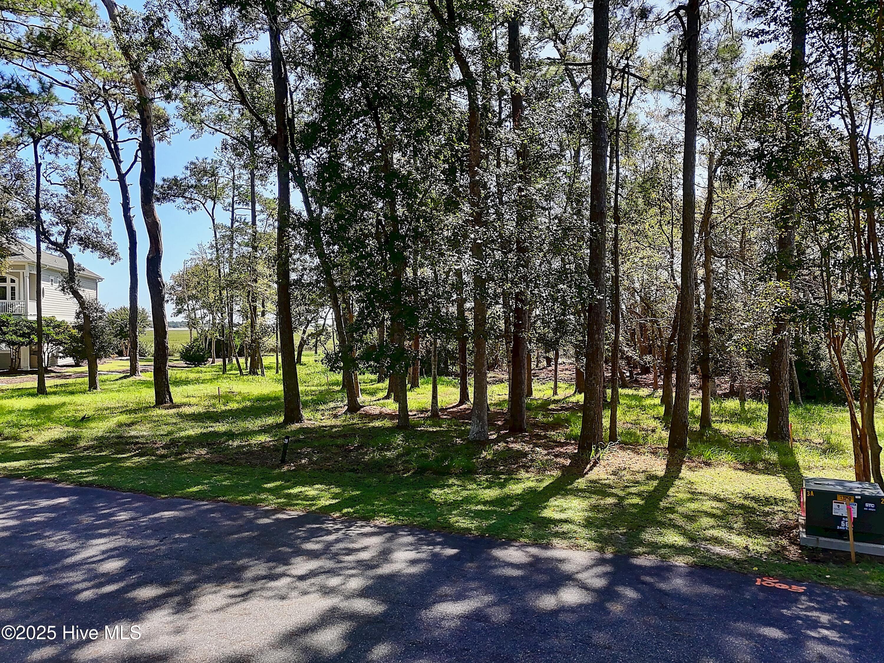 100533806 | Photo 15