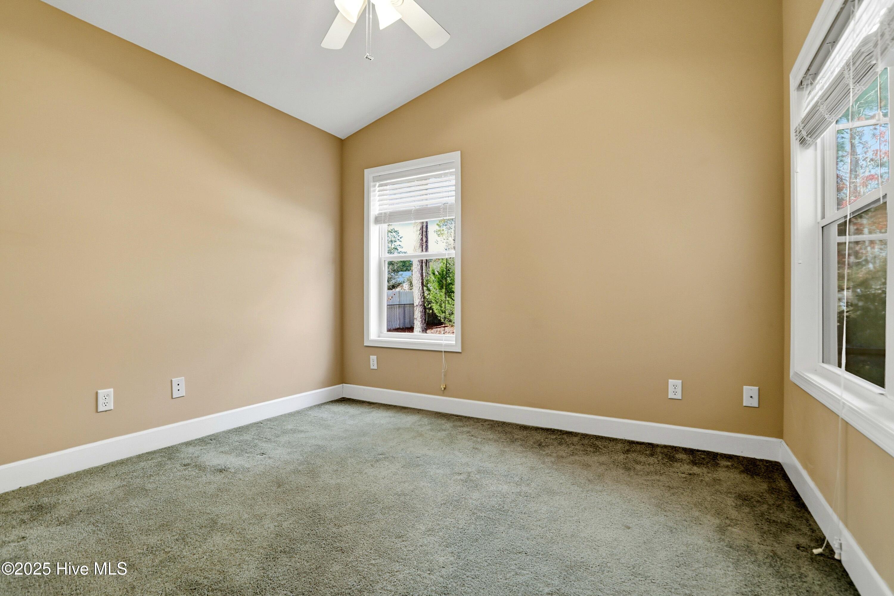 100543603 | Photo 29