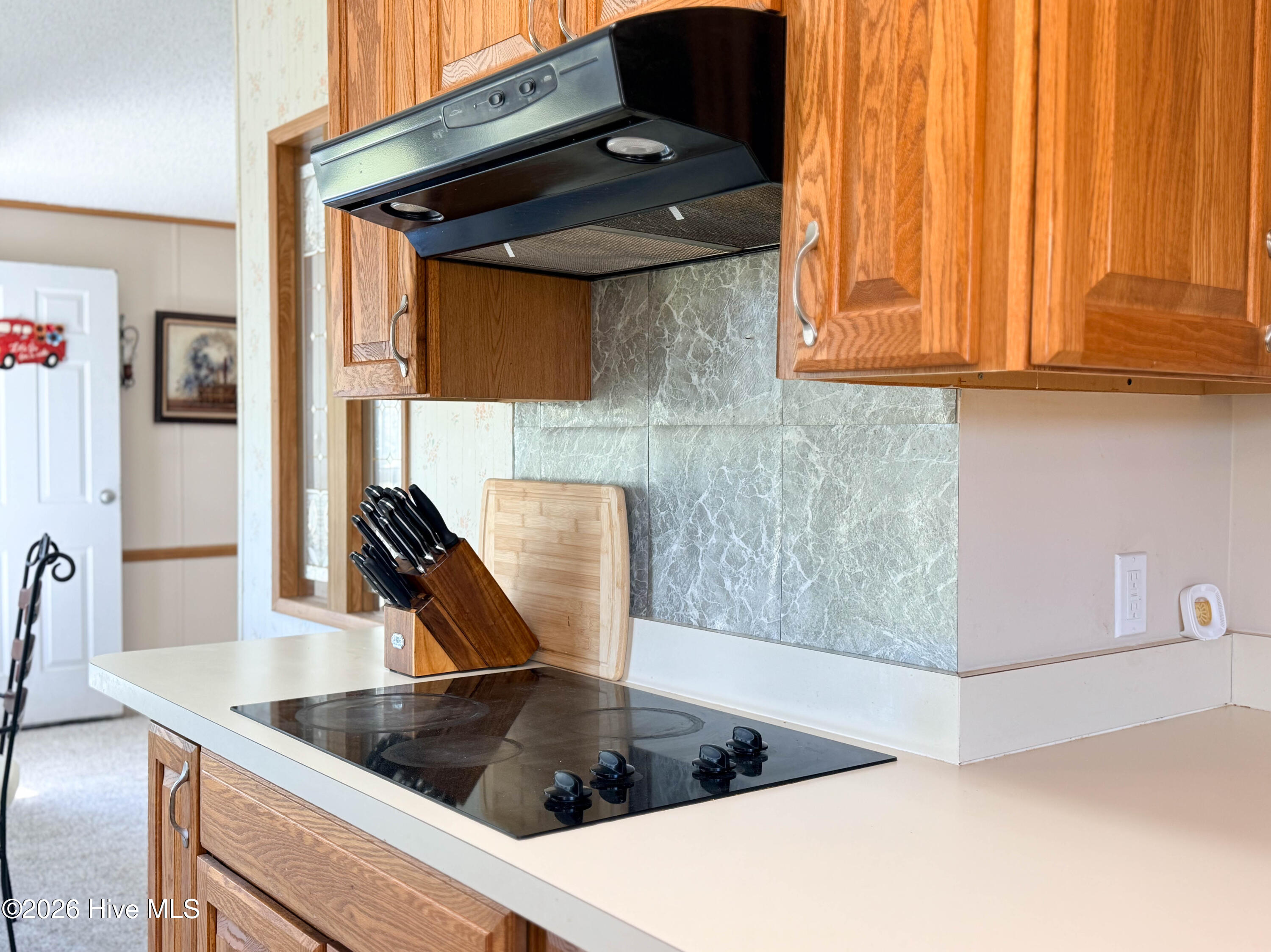 100563984 | Photo 21