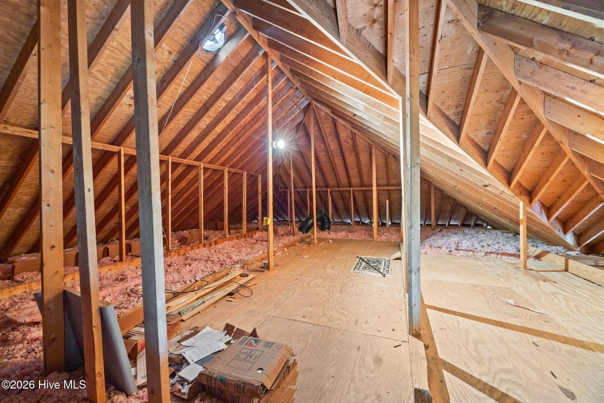 100547284 | Photo 35