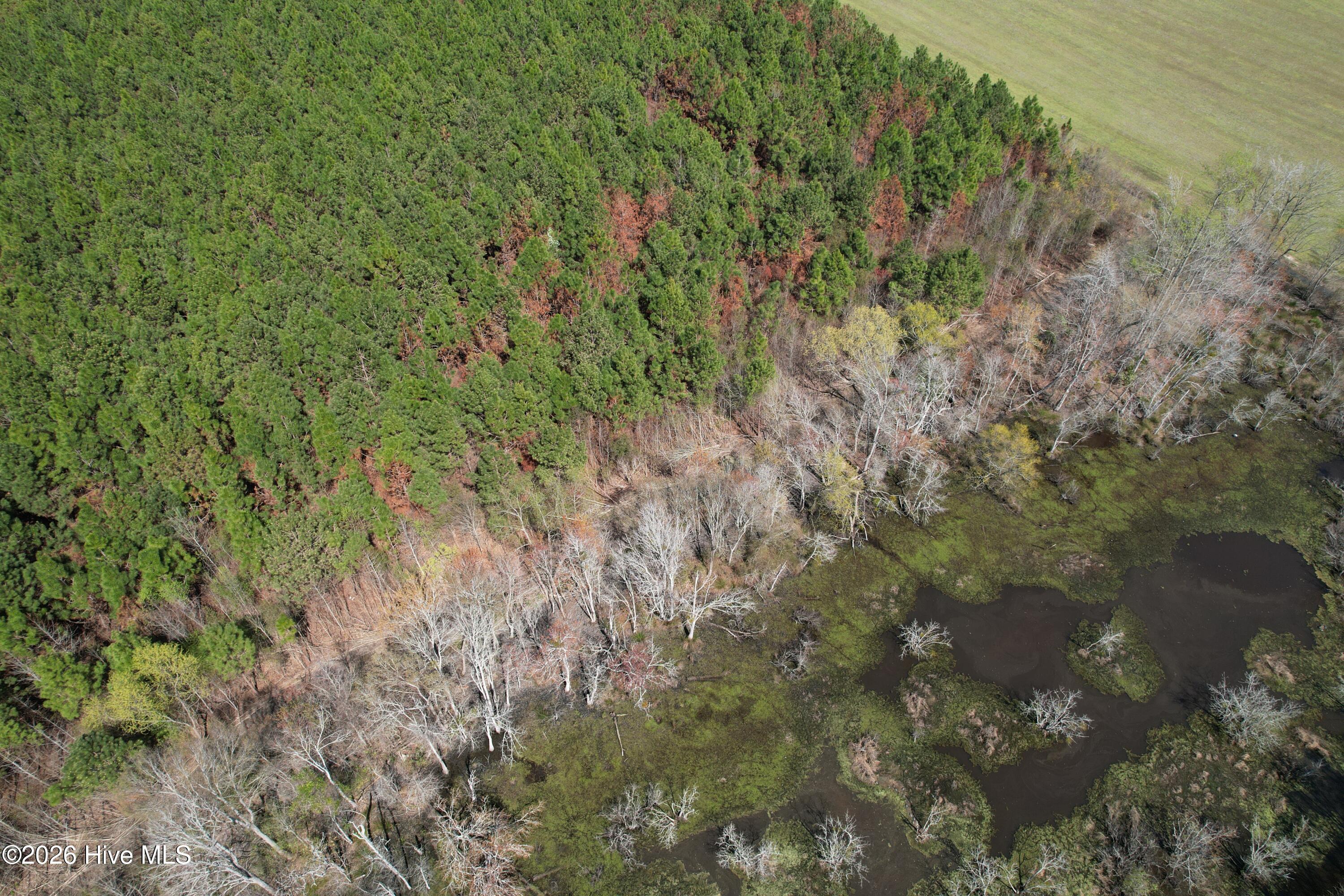 100560557 | Photo 14