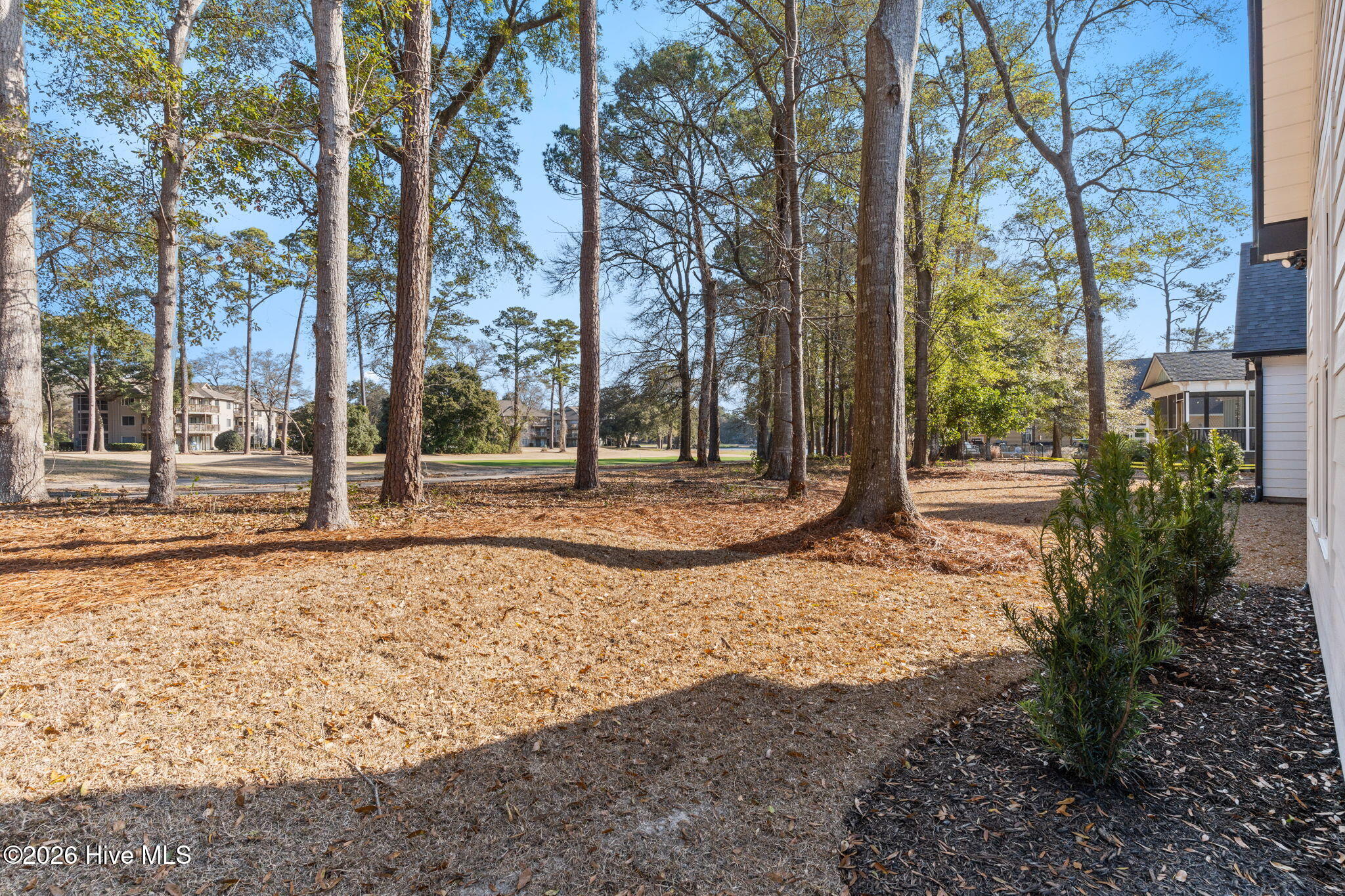 100558111 | Photo 41