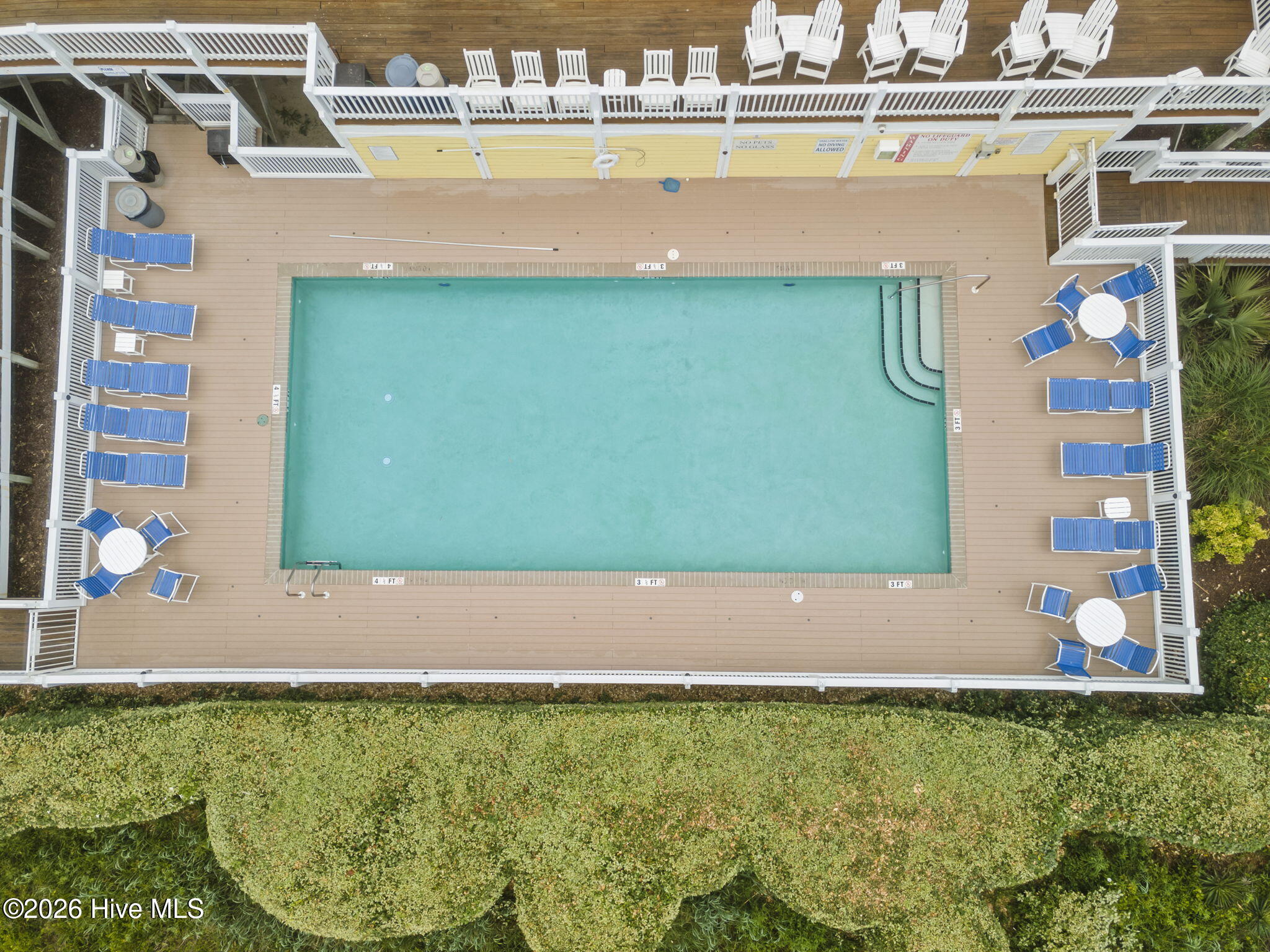 100560858 | Photo 97