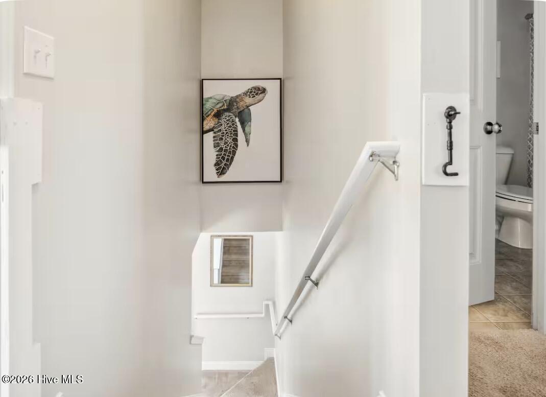 100567439 | Photo 11