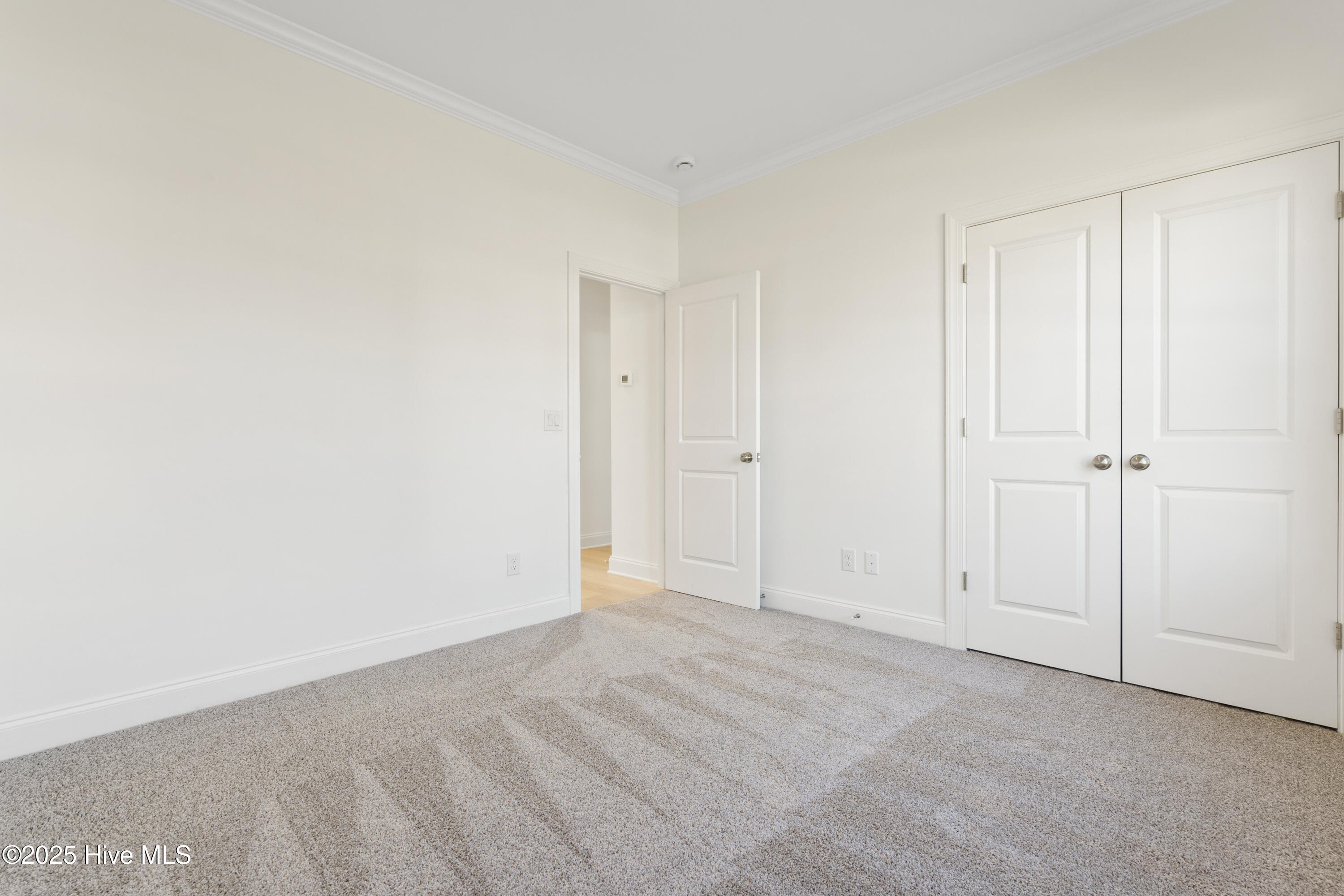 100517752 | Photo 25