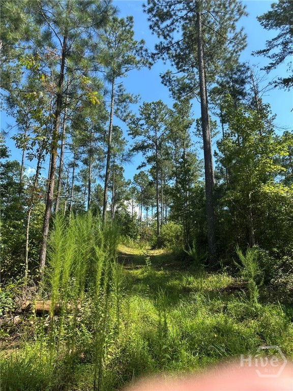 00 Fears, Madison, GA, 30650