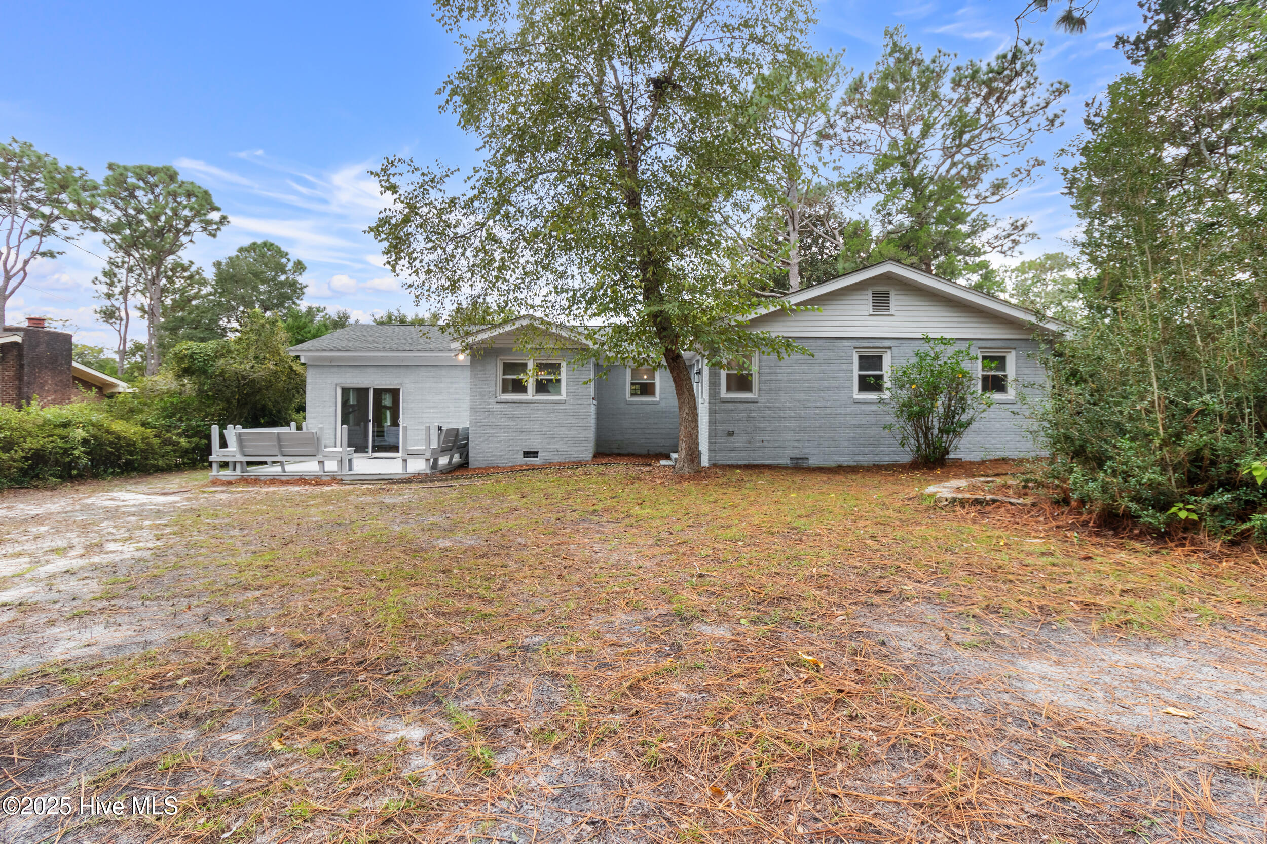 100534171 | Photo 35