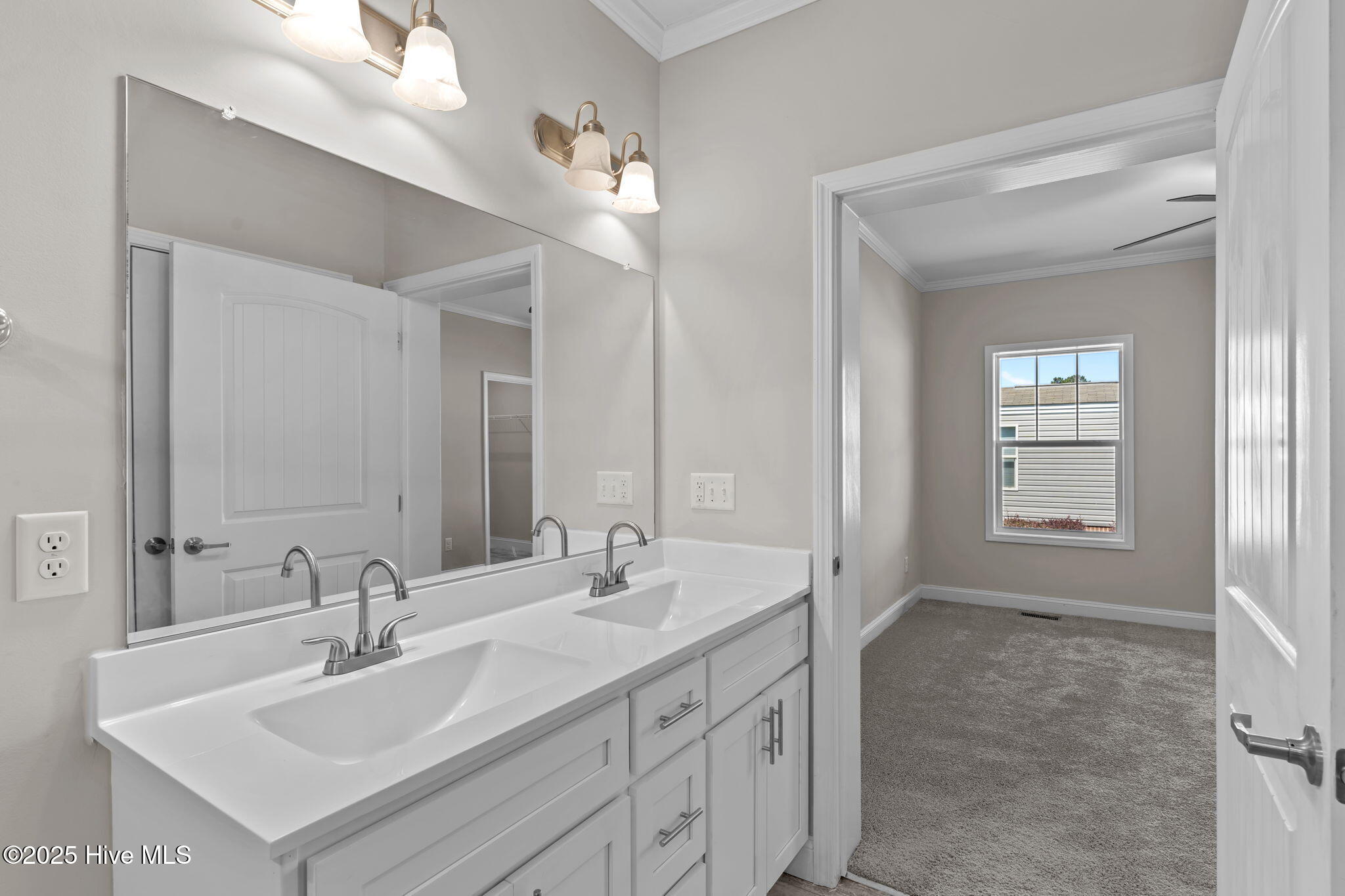 100529726 | Photo 29