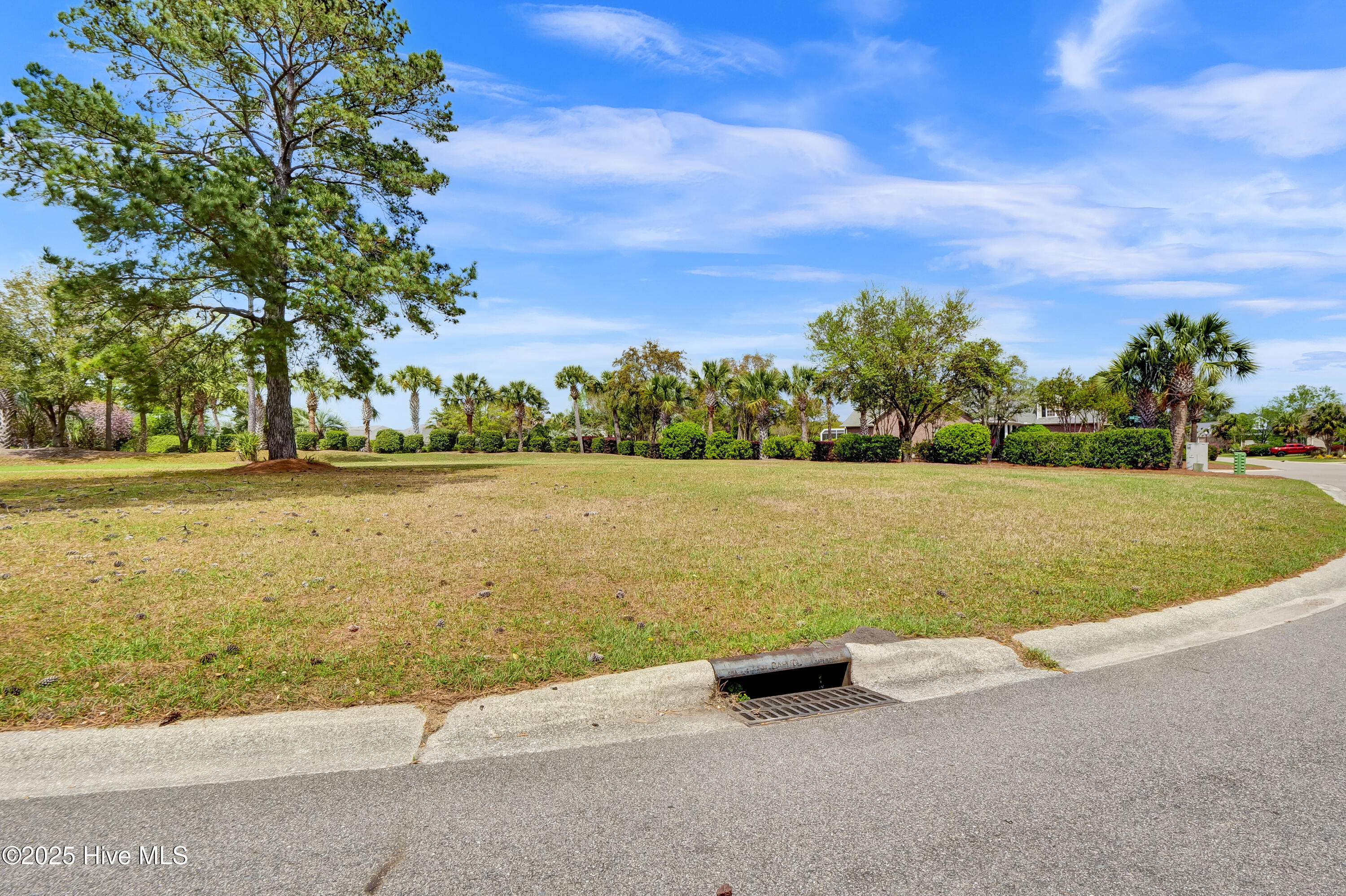 100501498 | Photo 12