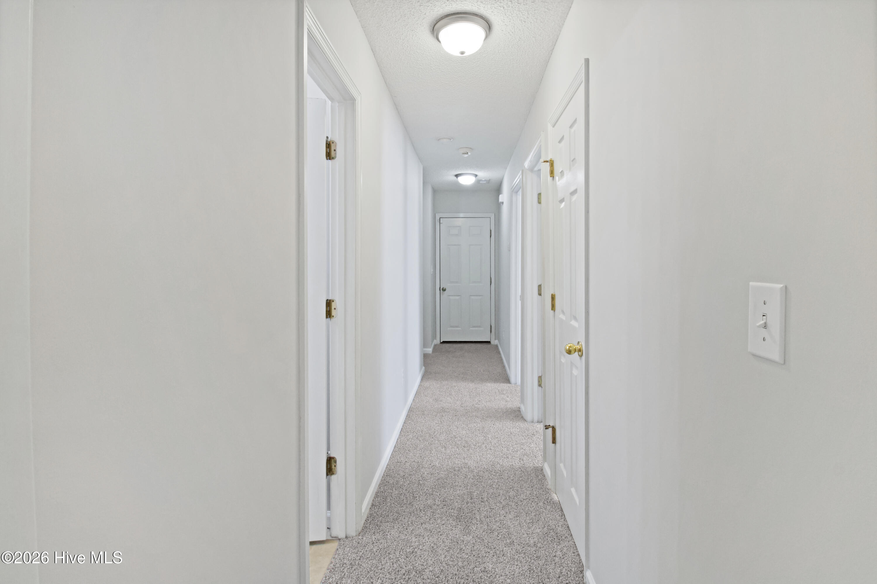 100556649 | Photo 24