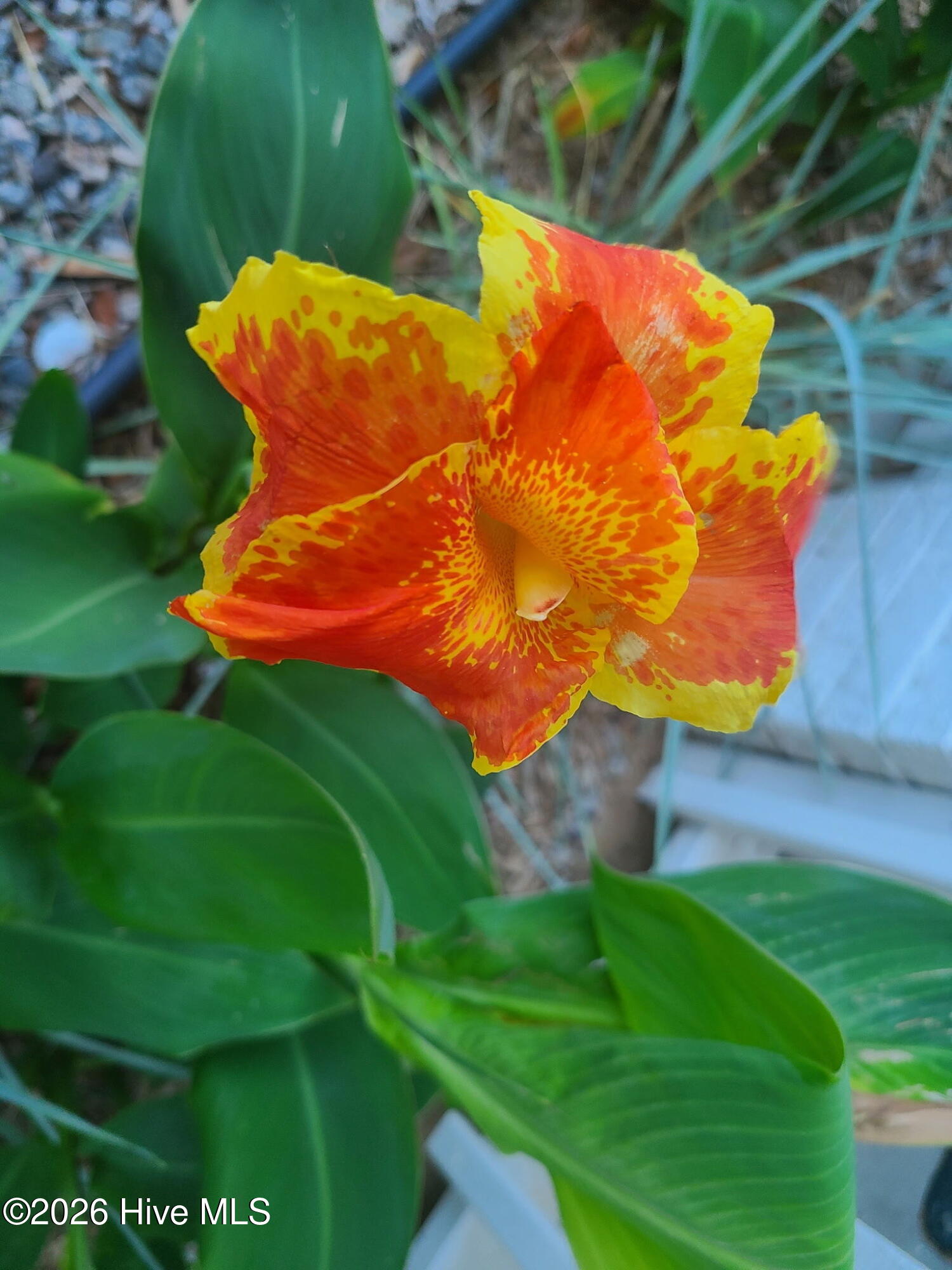 100549205 | Photo 70