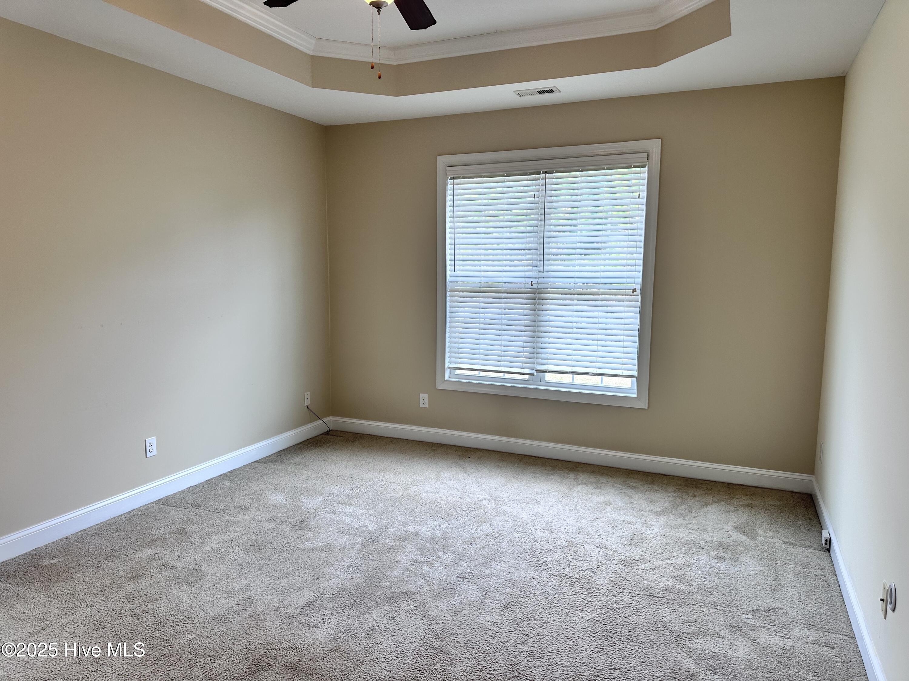 100545528 | Photo 11