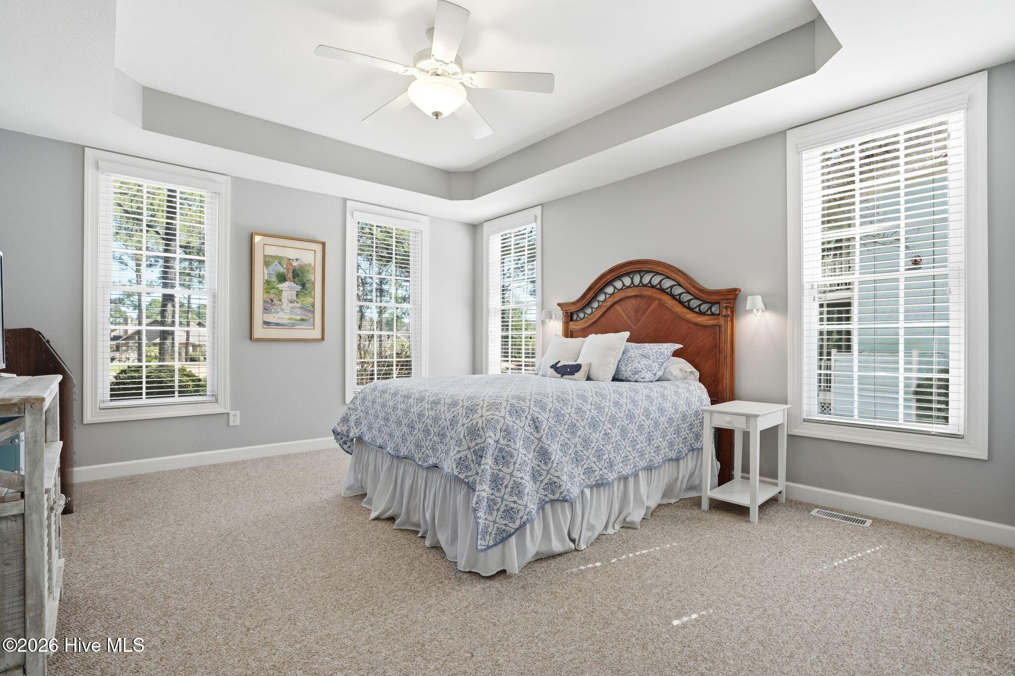 100559156 | Photo 17