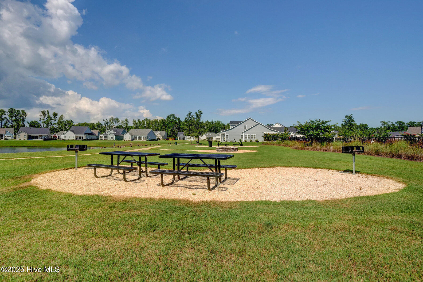 100544096 | Photo 55