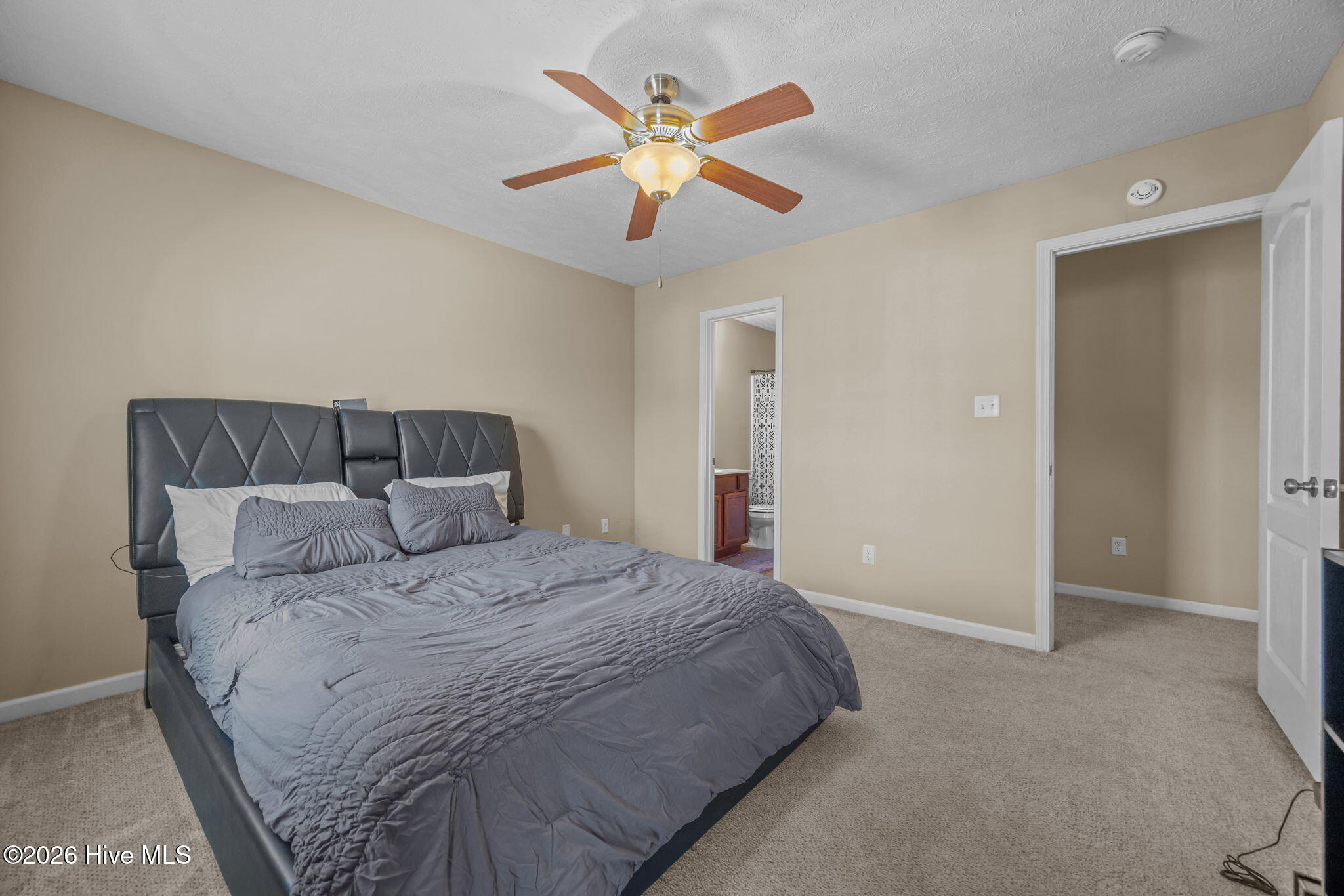 100552891 | Photo 11