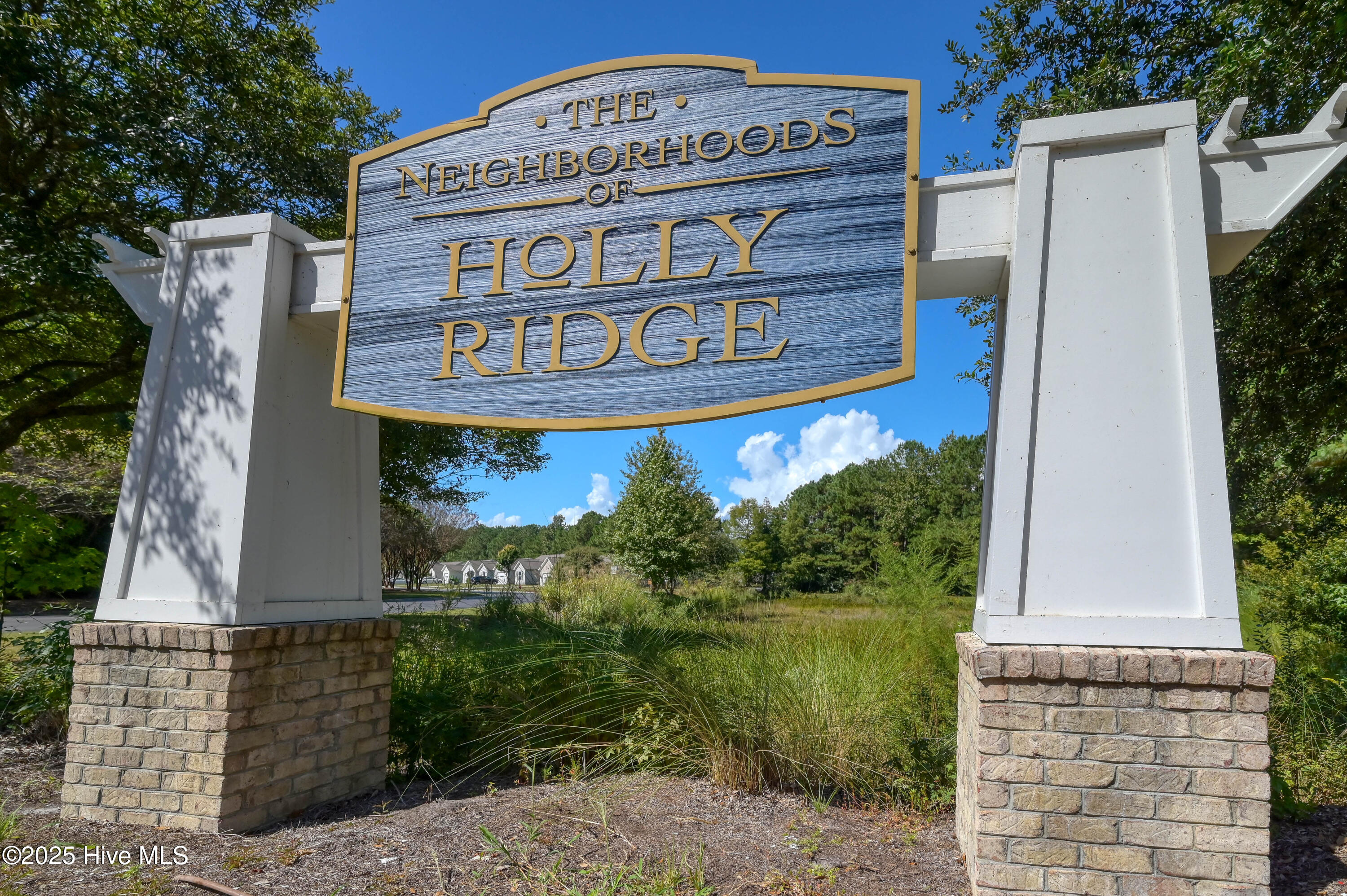 100487602 | Photo 40