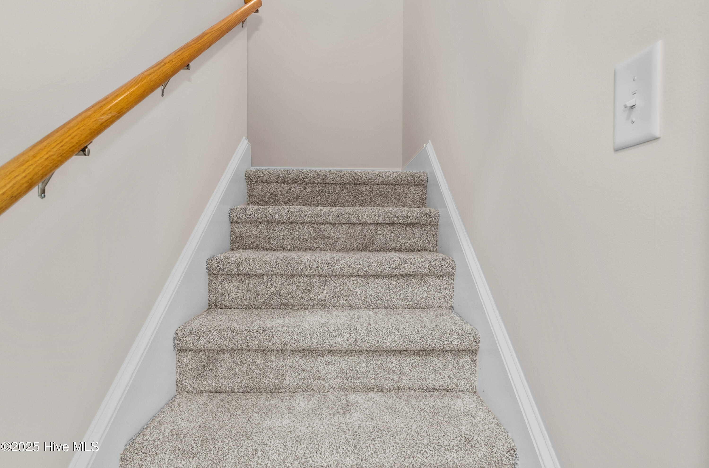 100537525 | Photo 43