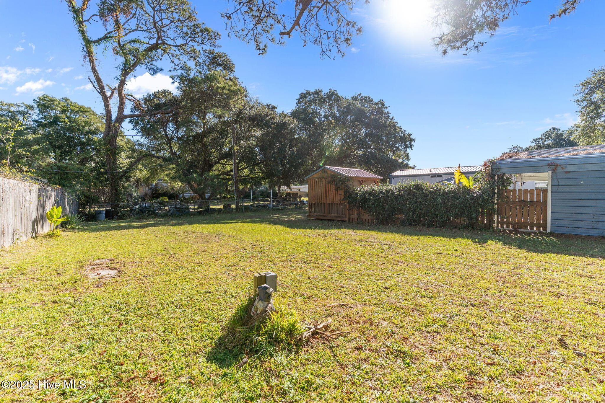 100539780 | Photo 38