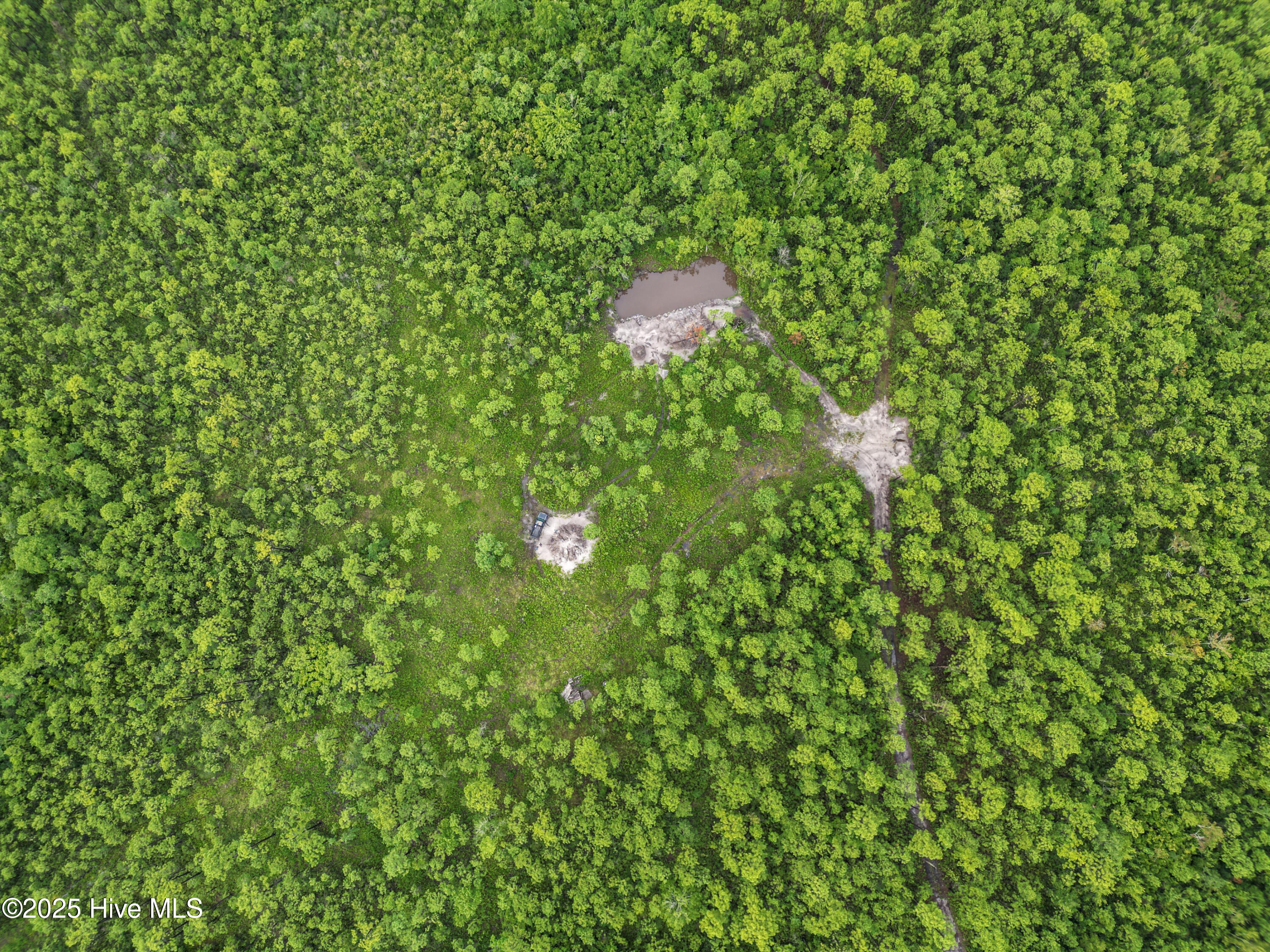 100525966 | Photo 13