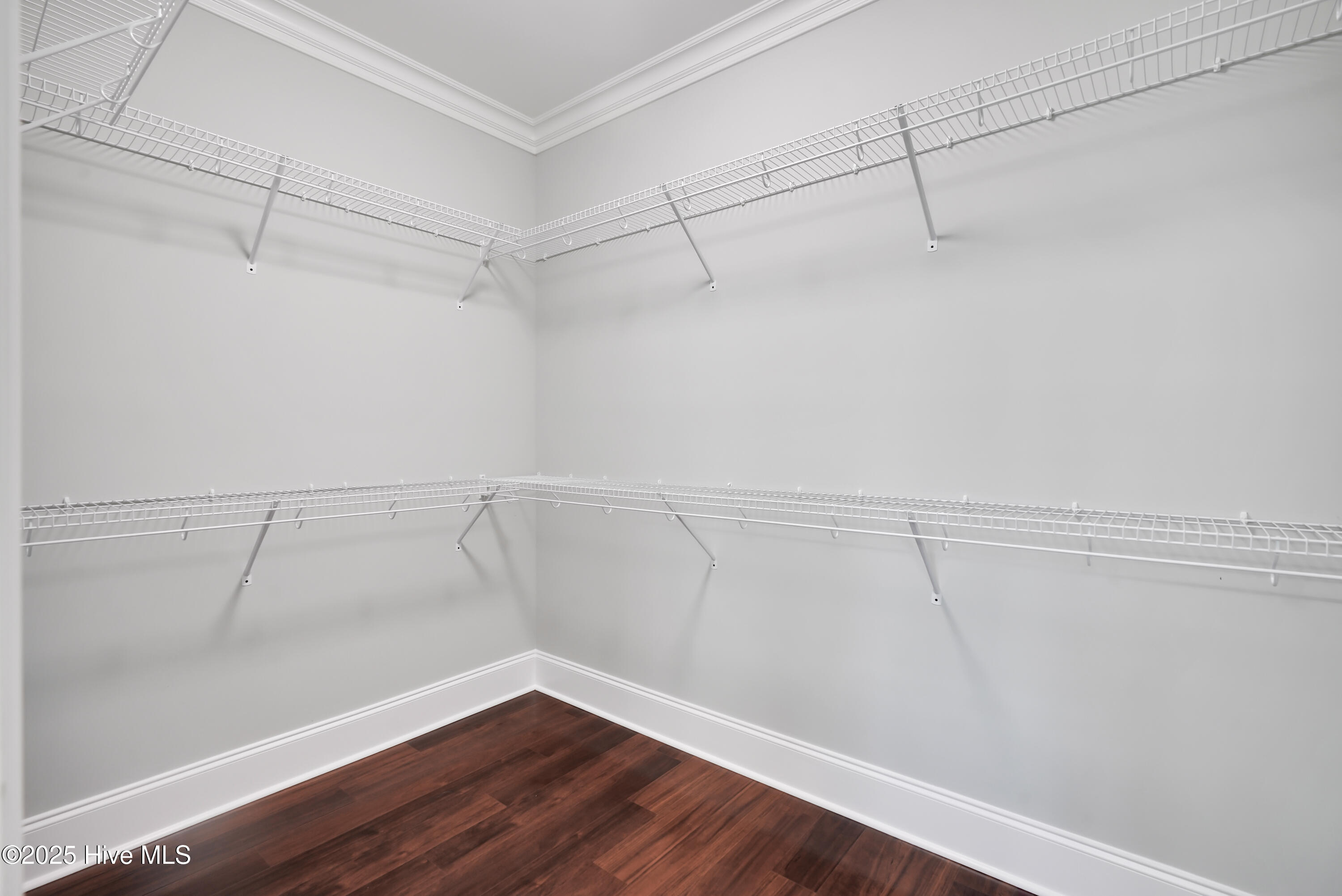 100524954 | Photo 26