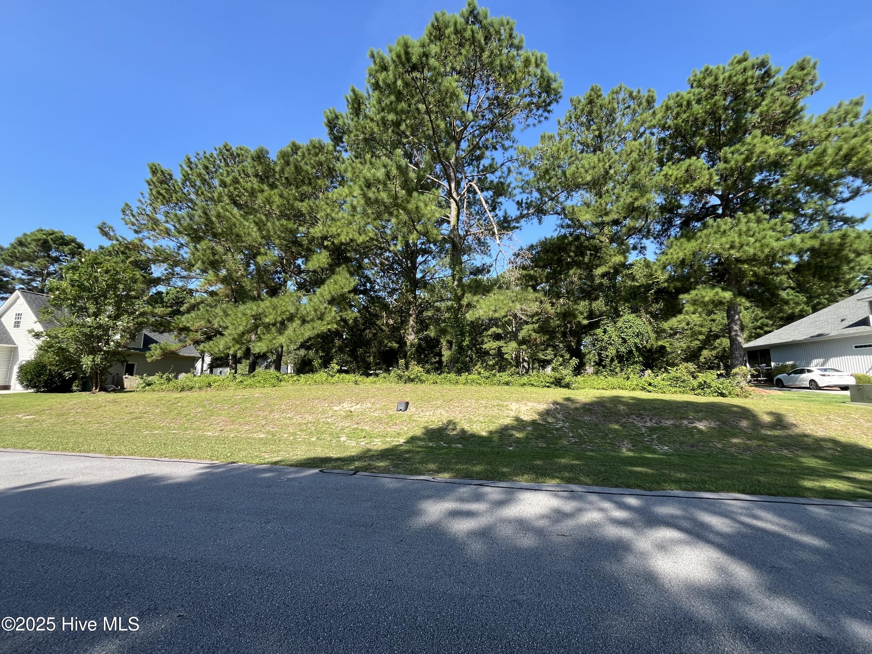 205 Egret Point Drive, Sneads Ferry, NC, 28460