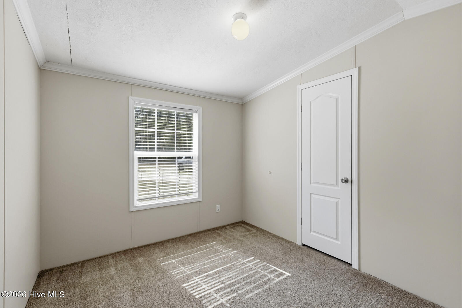 100559966 | Photo 18